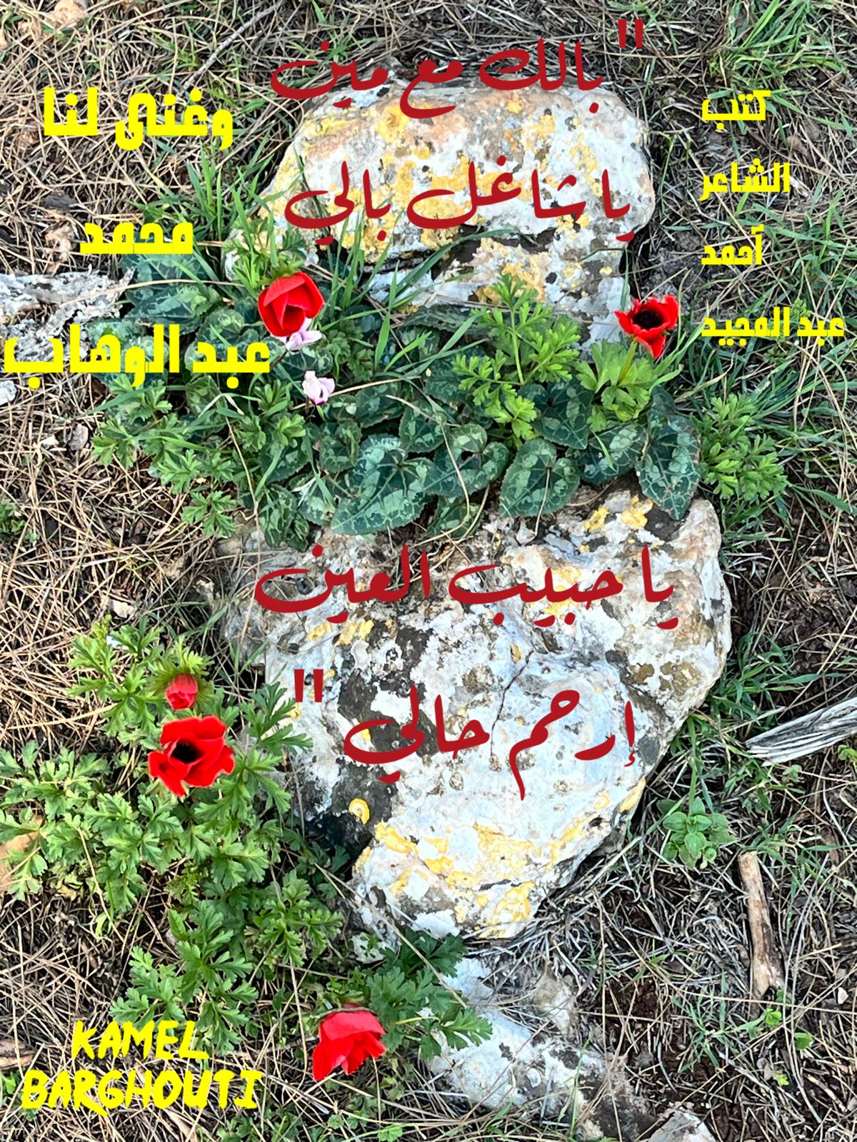 حب وحنين – اقتباس 239