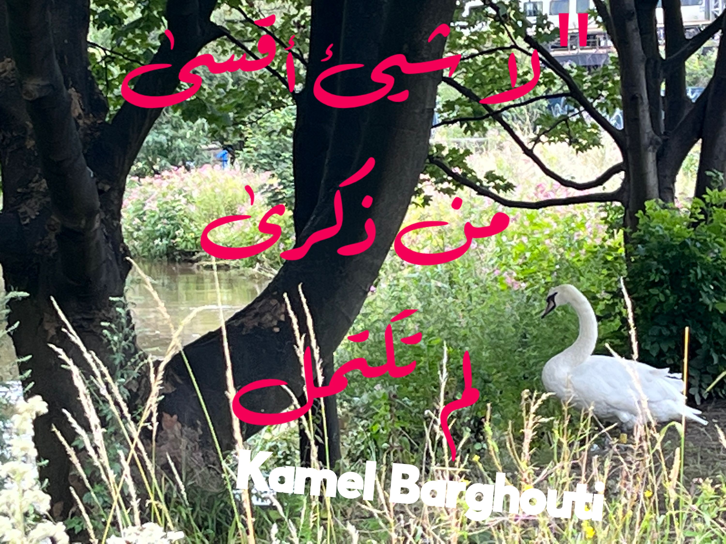 حب وحنين – اقتباس 193