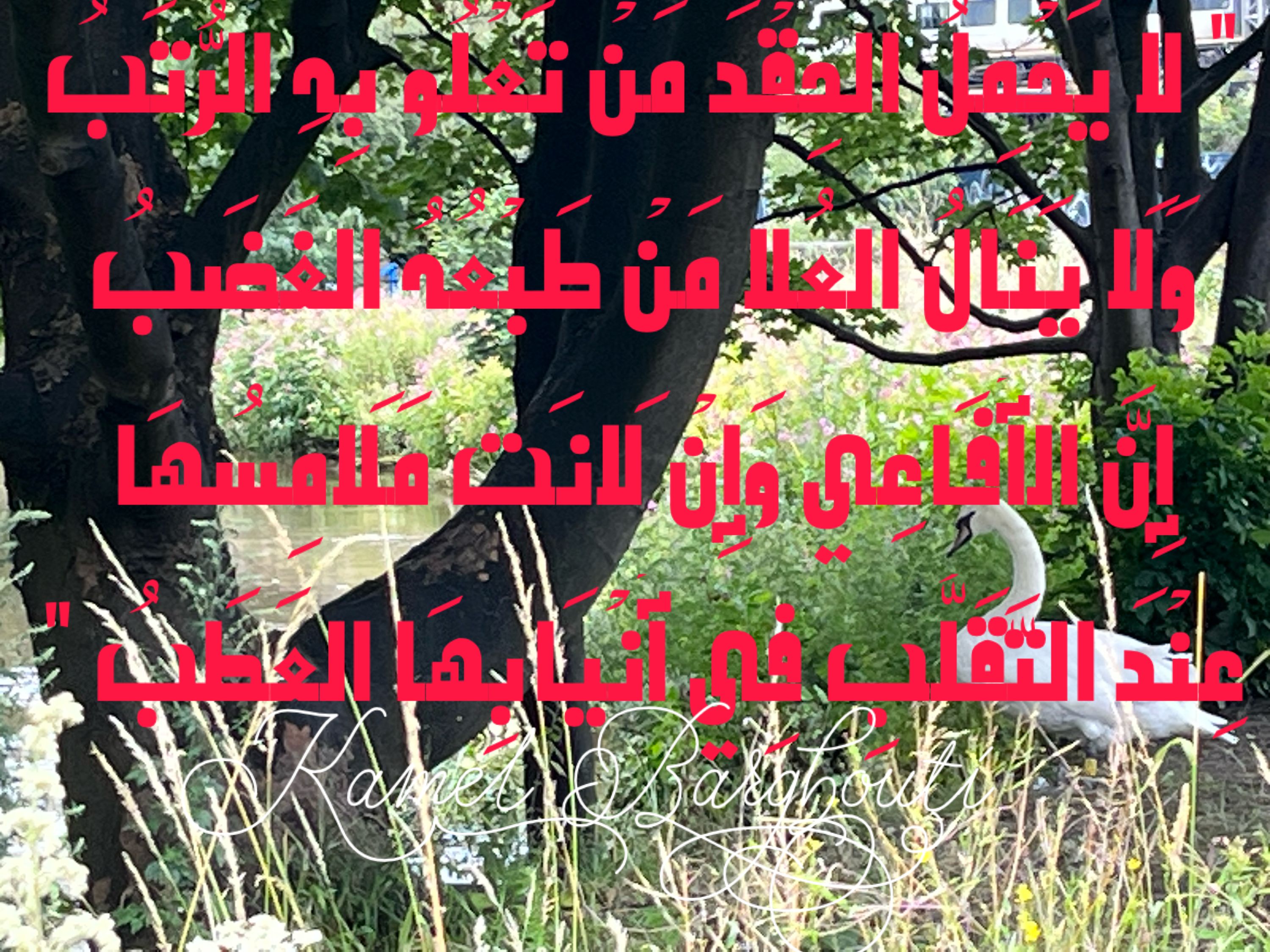 حب وحنين – اقتباس 189