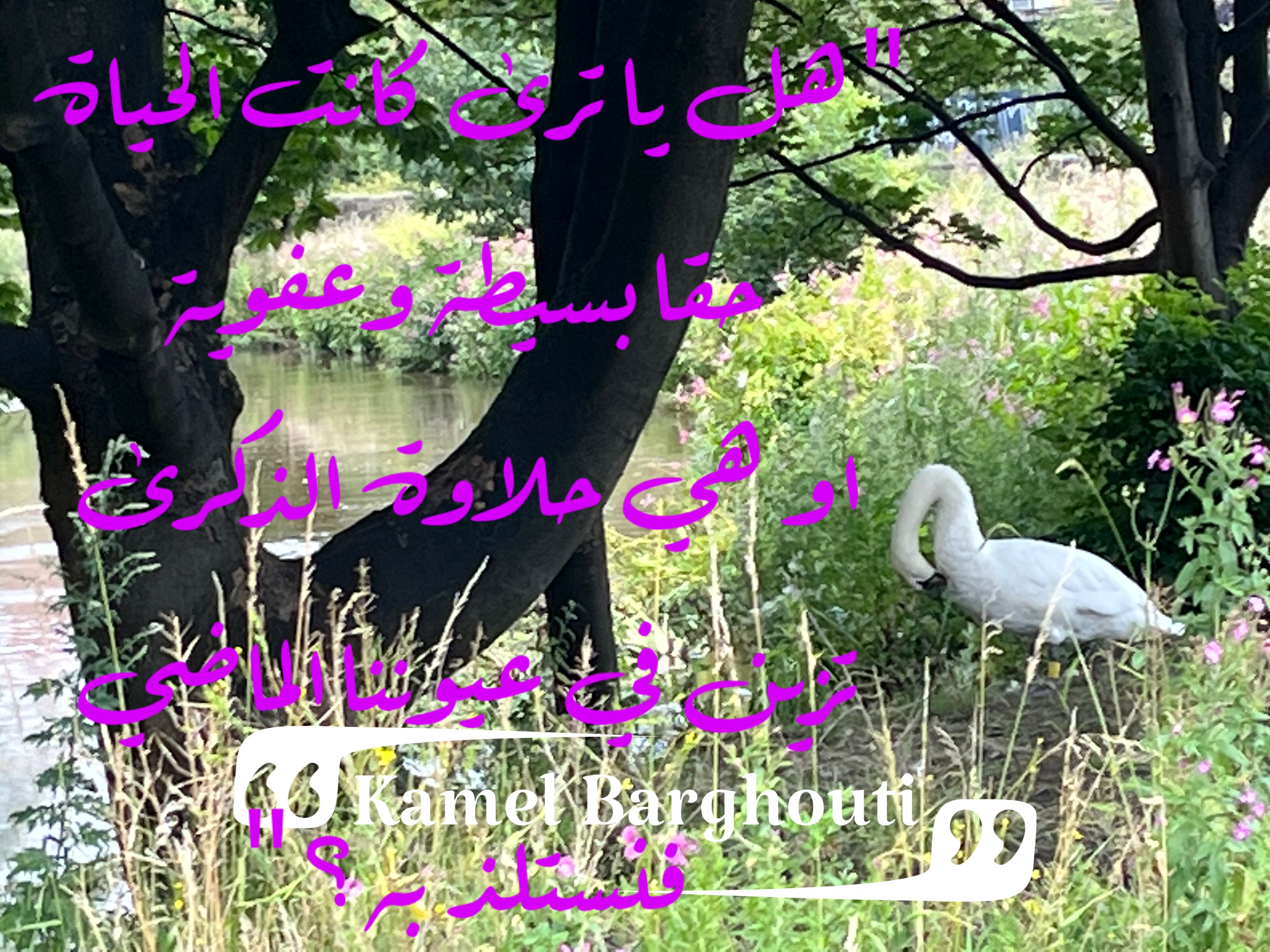 حب وحنين – اقتباس 192
