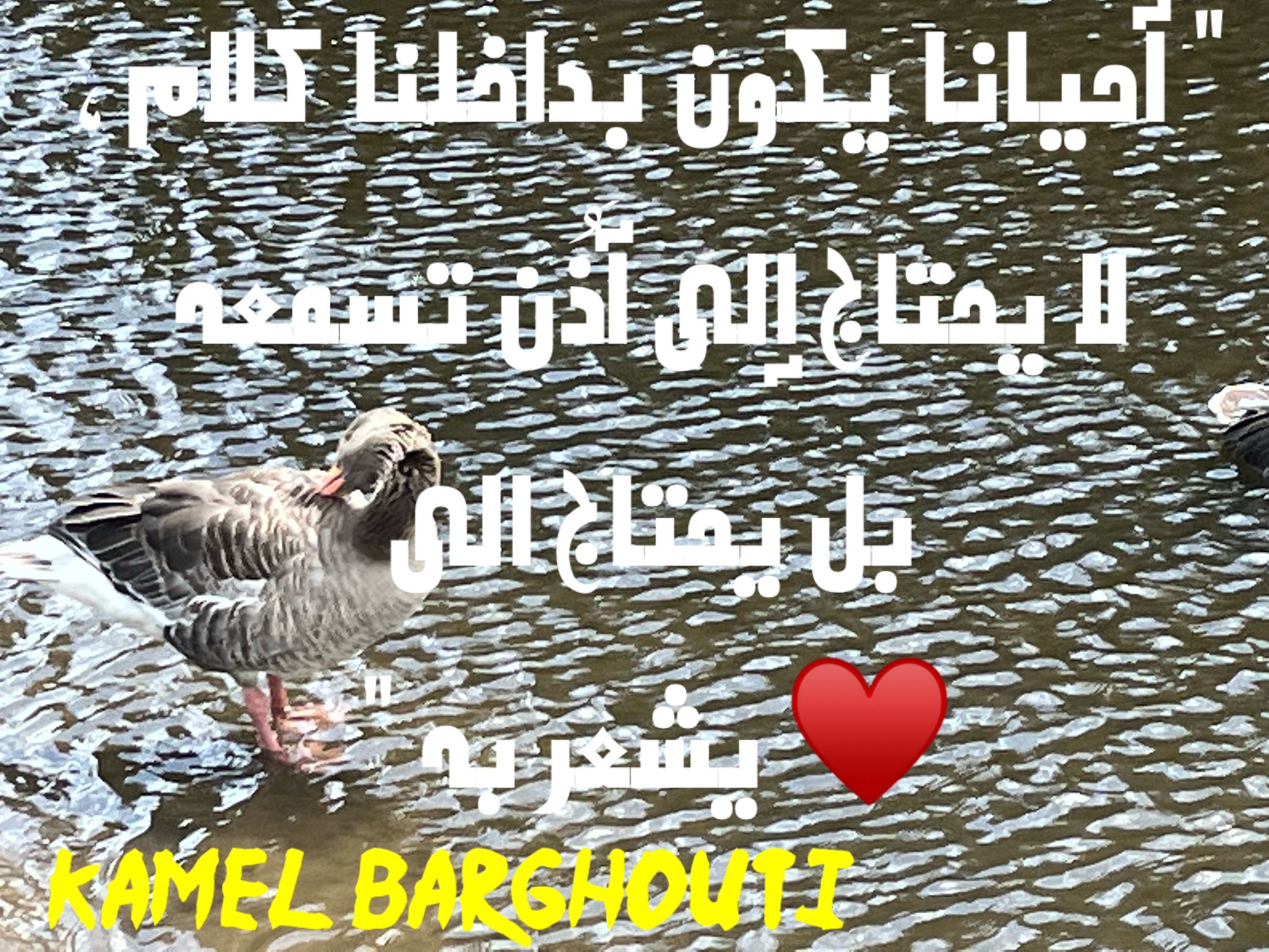 حب وحنين – اقتباس 178