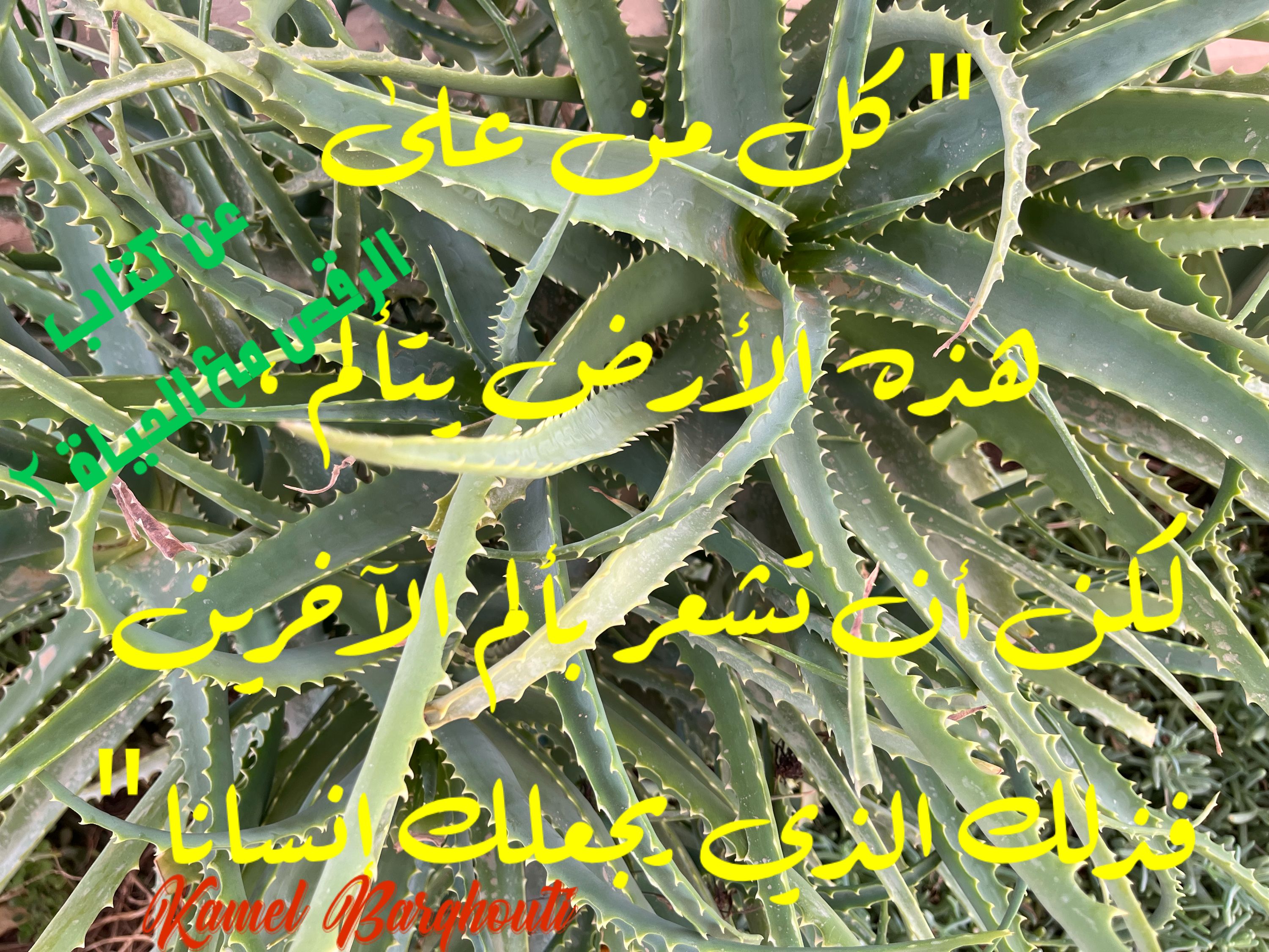 حب وحنين – اقتباس 183