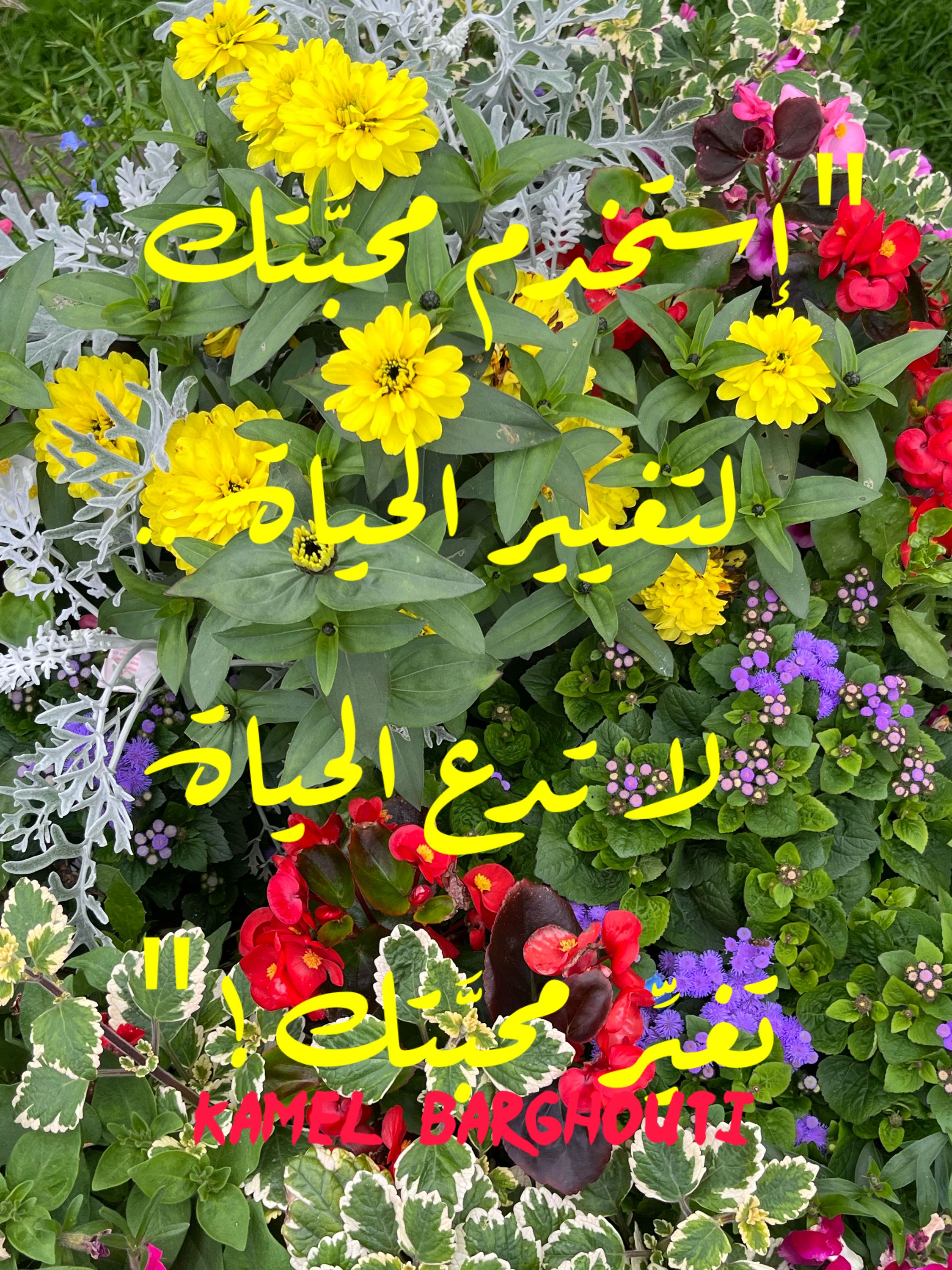 حب وحنين – اقتباس 164