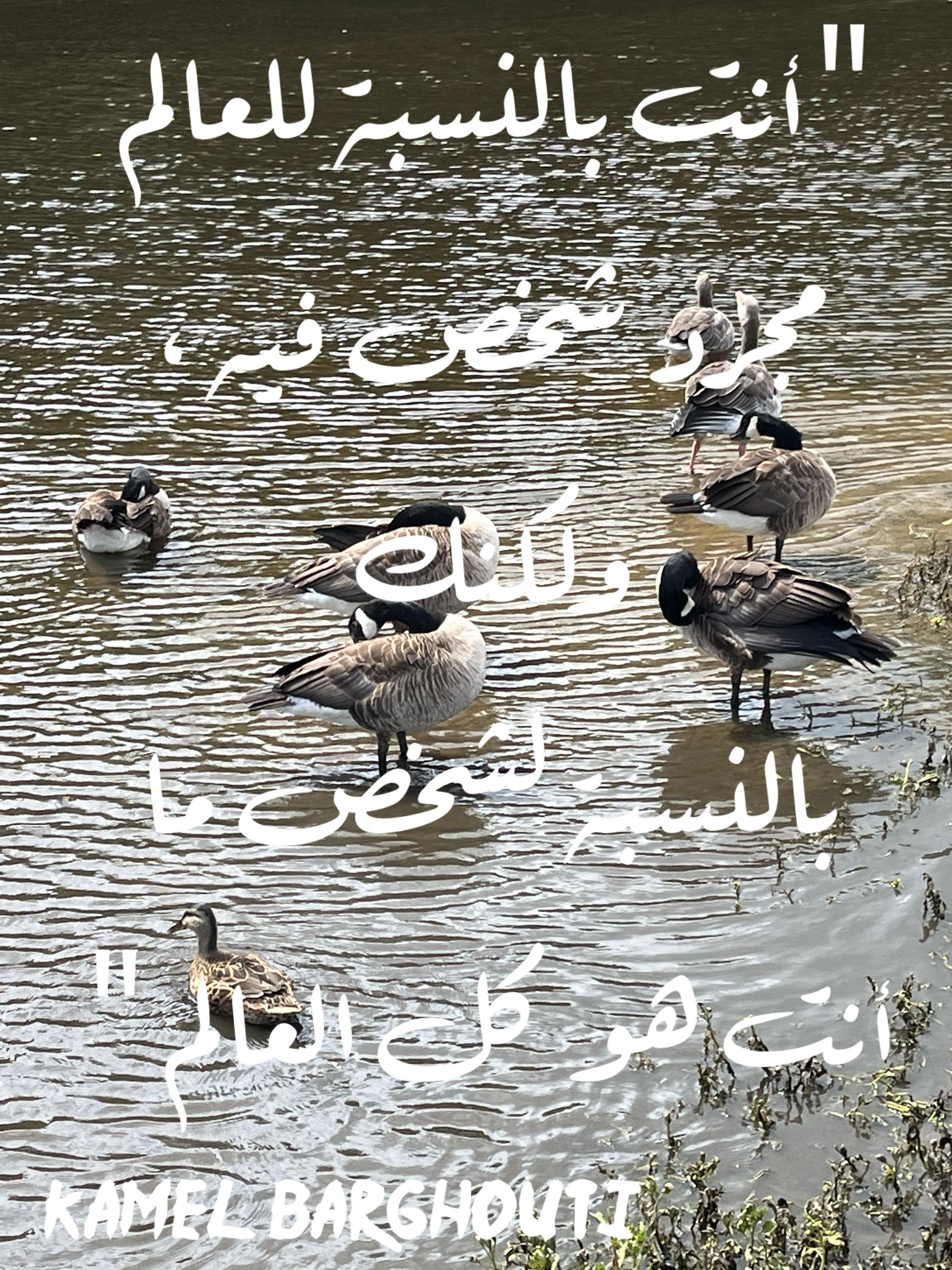 حب وحنين – اقتباس 149