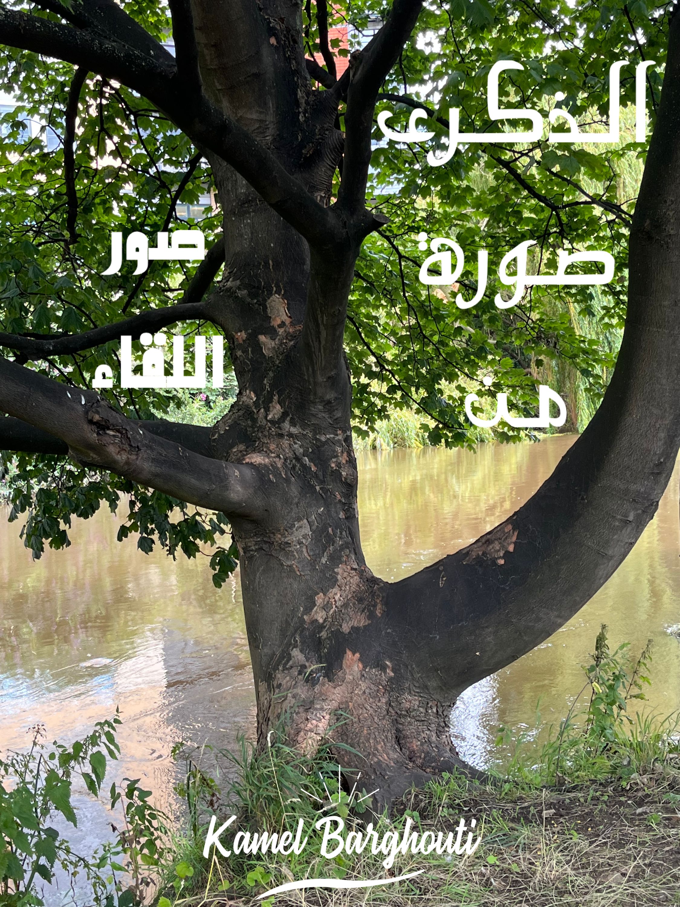 حب وحنين – اقتباس 139