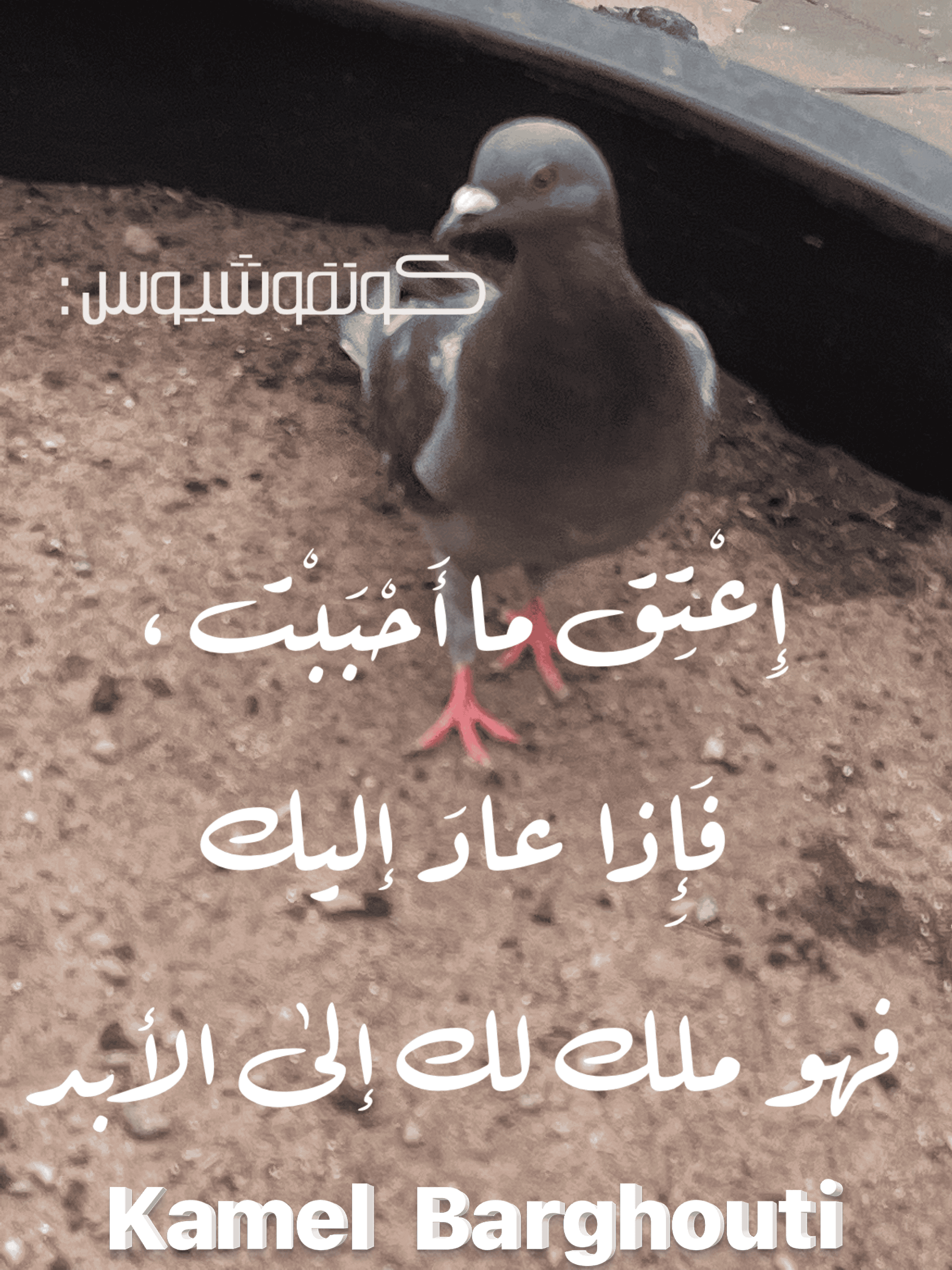 حب وحنين – اقتباس 125