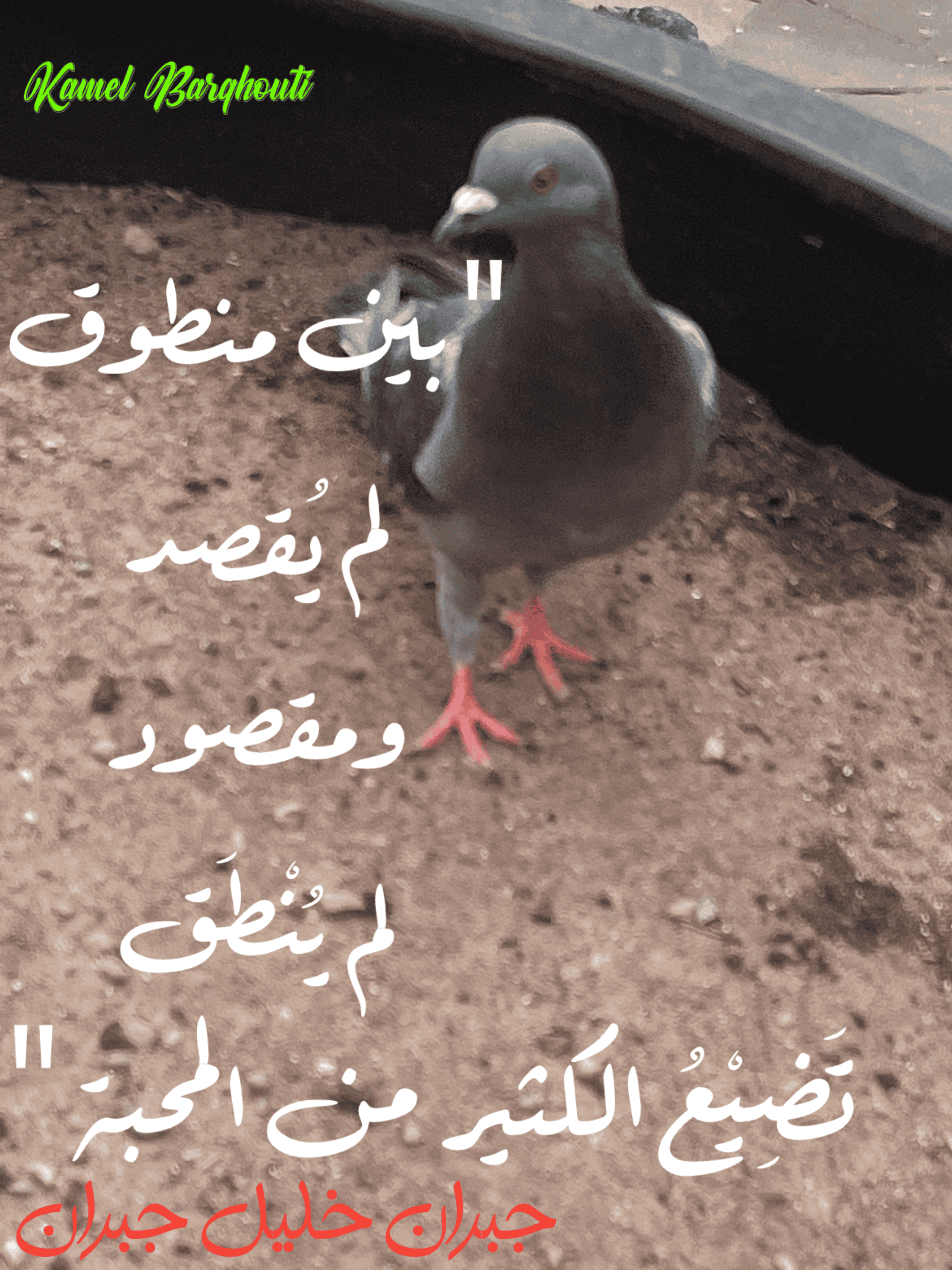 حب وحنين – اقتباس 131