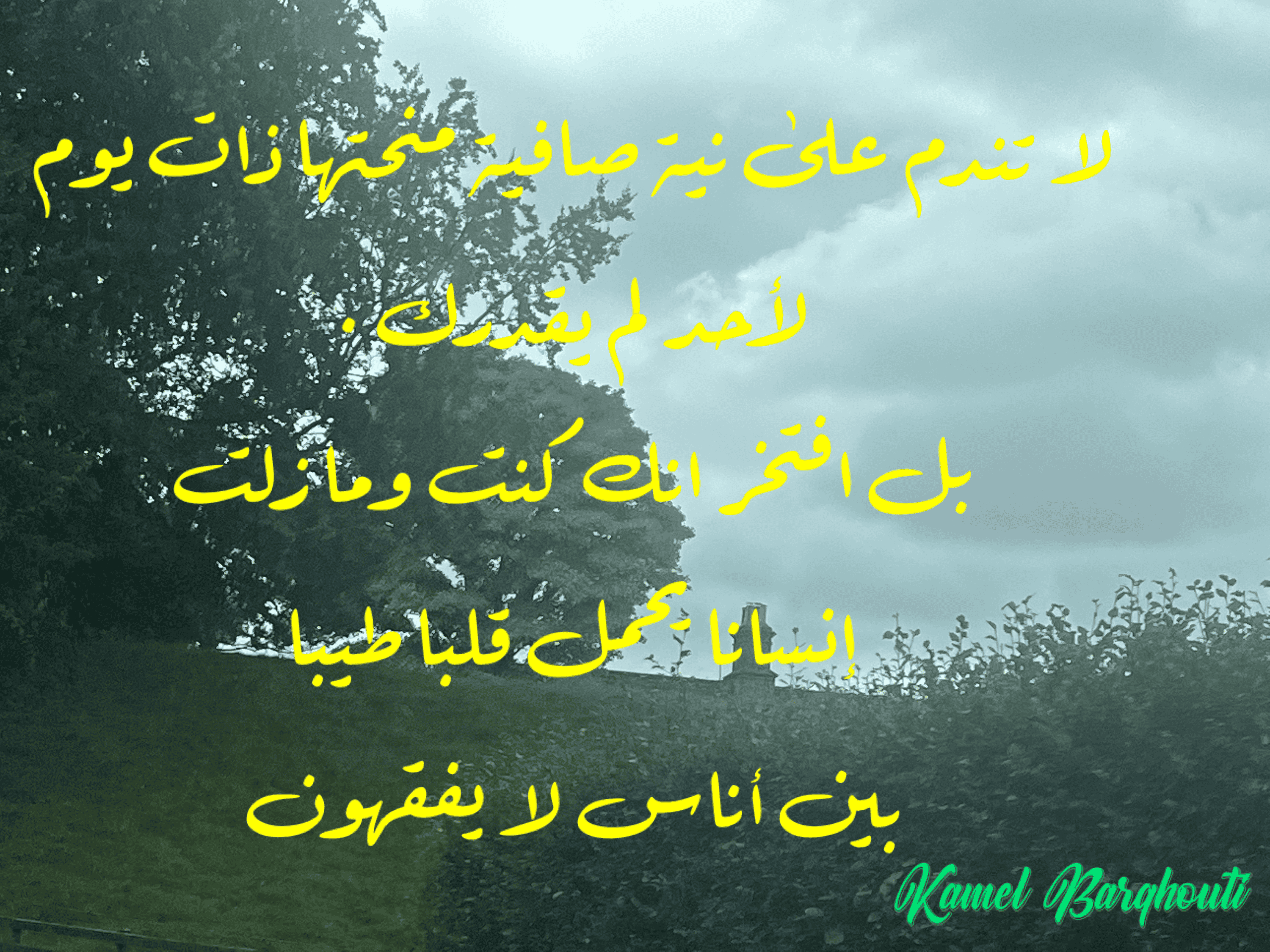 حب وحنين – اقتباس 126