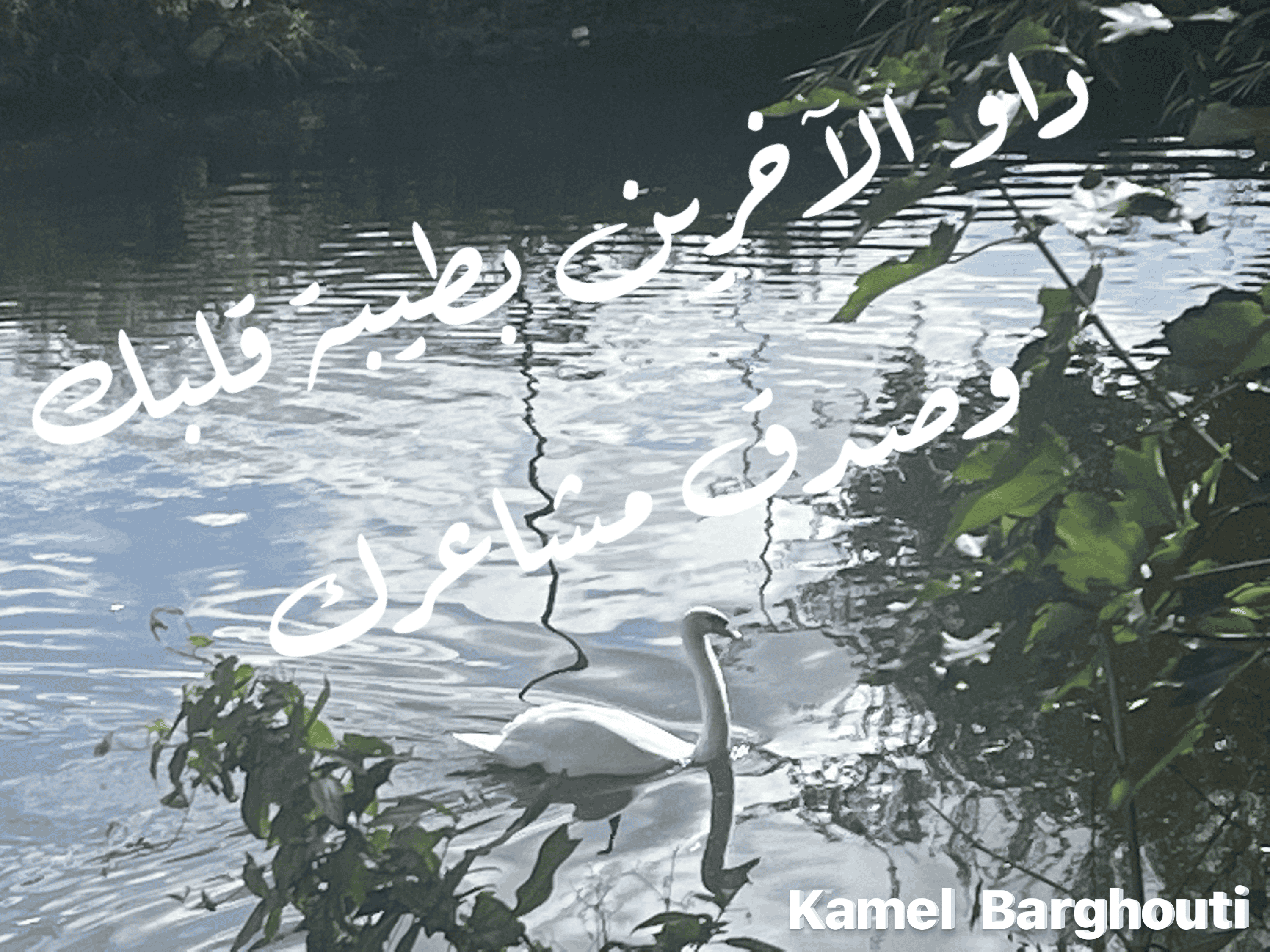 حب وحنين – اقتباس 109