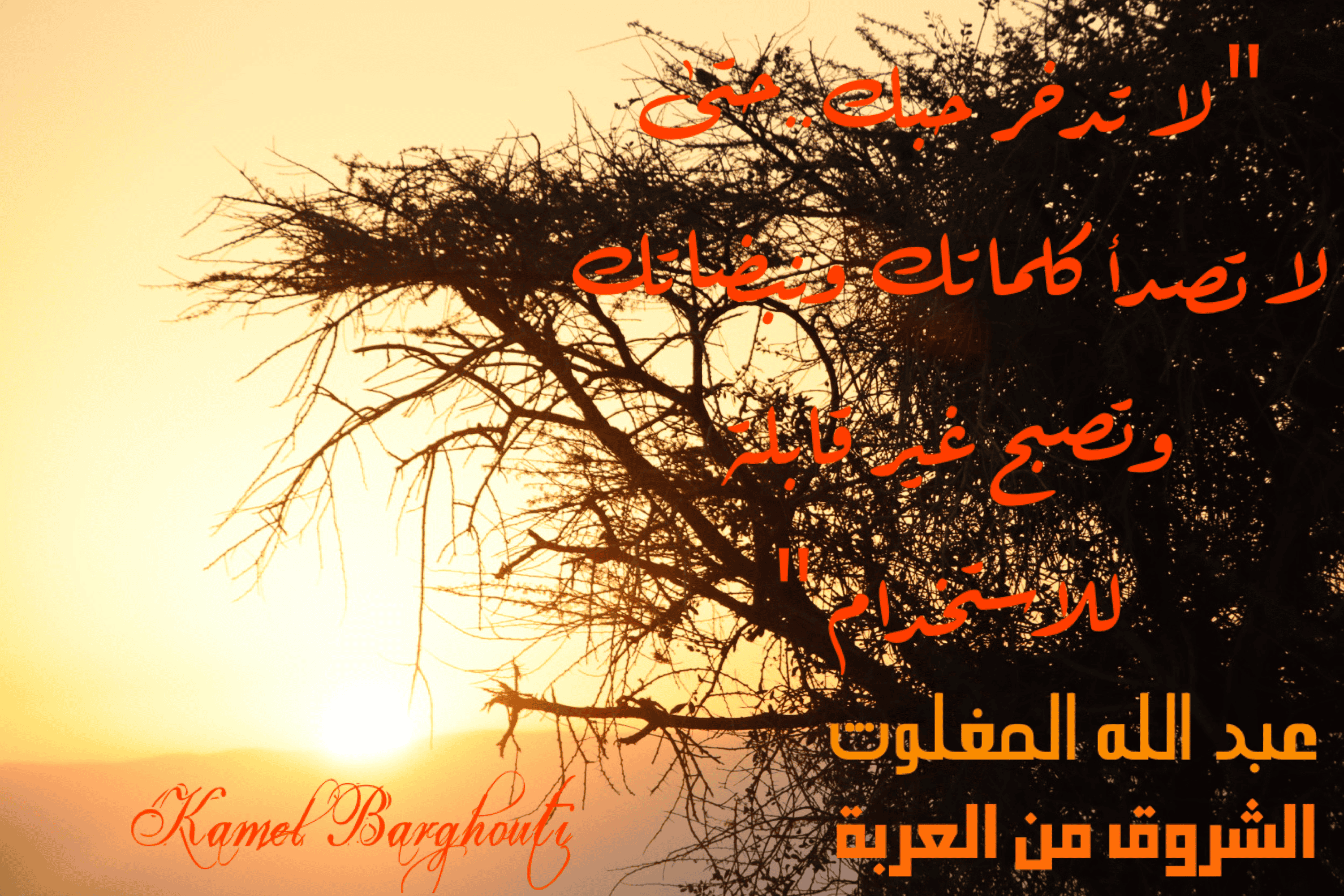 حب وحنين – اقتباس 111