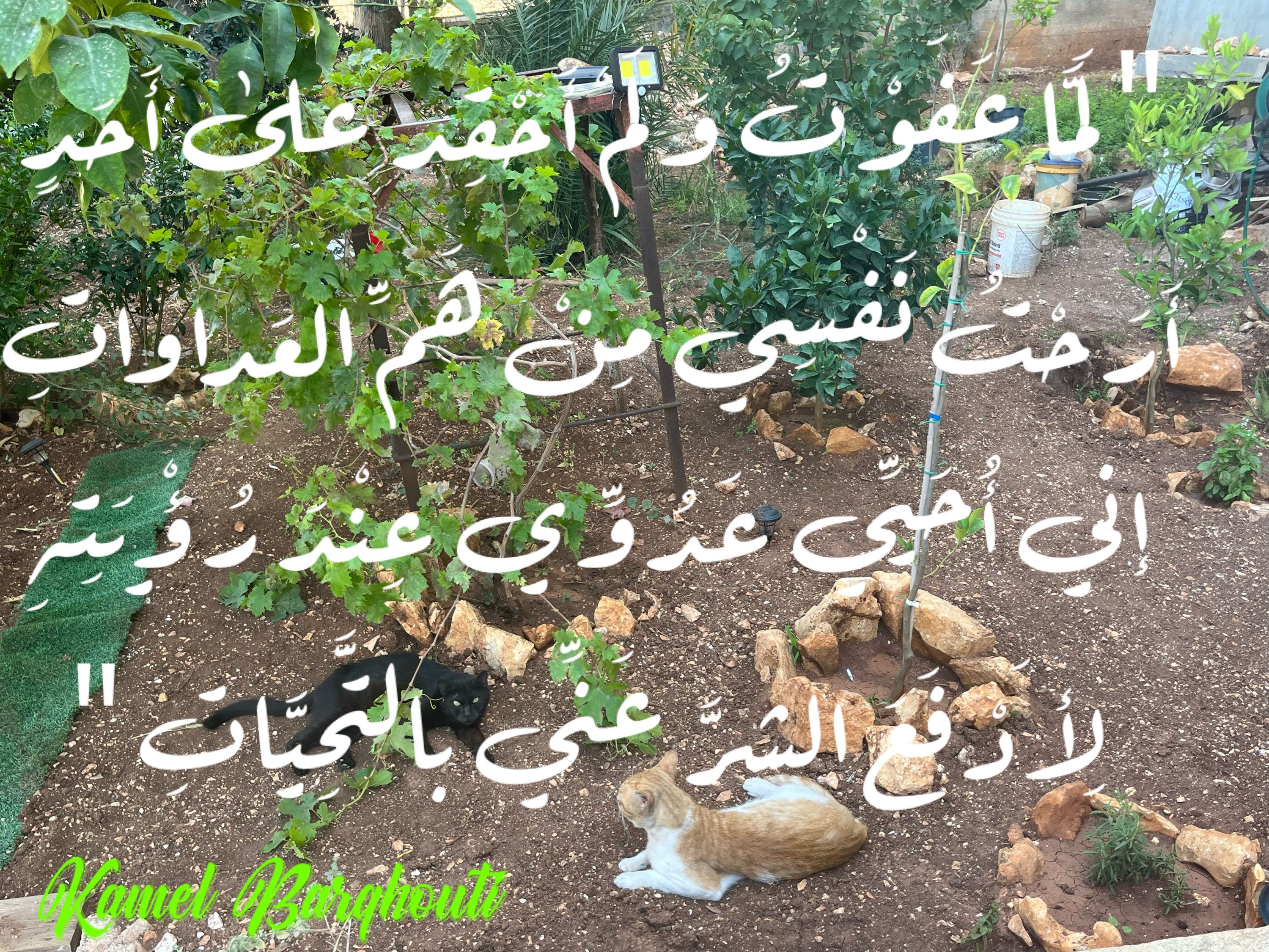 حب وحنين – اقتباس 104