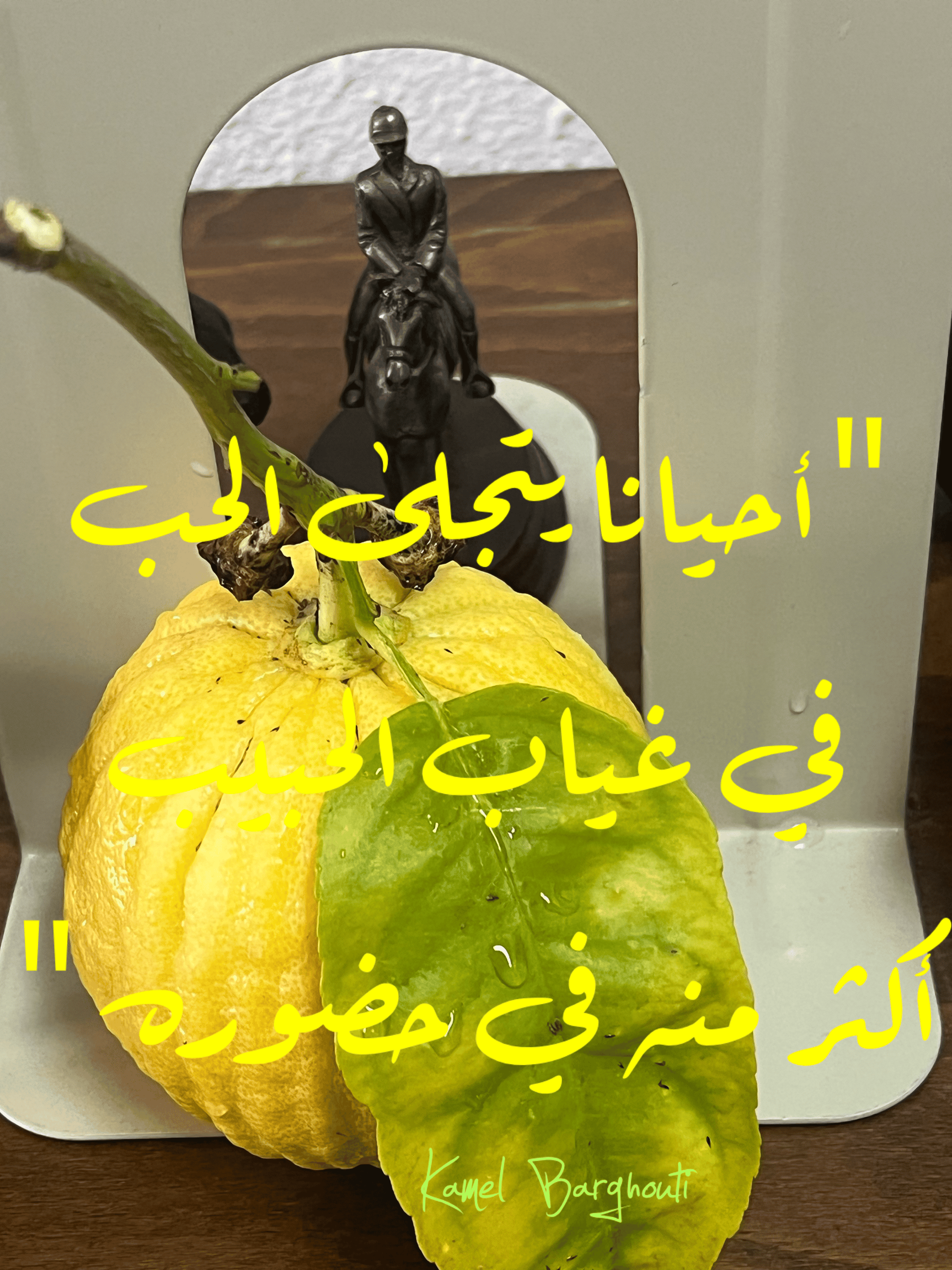 حب وحنين – اقتباس 102