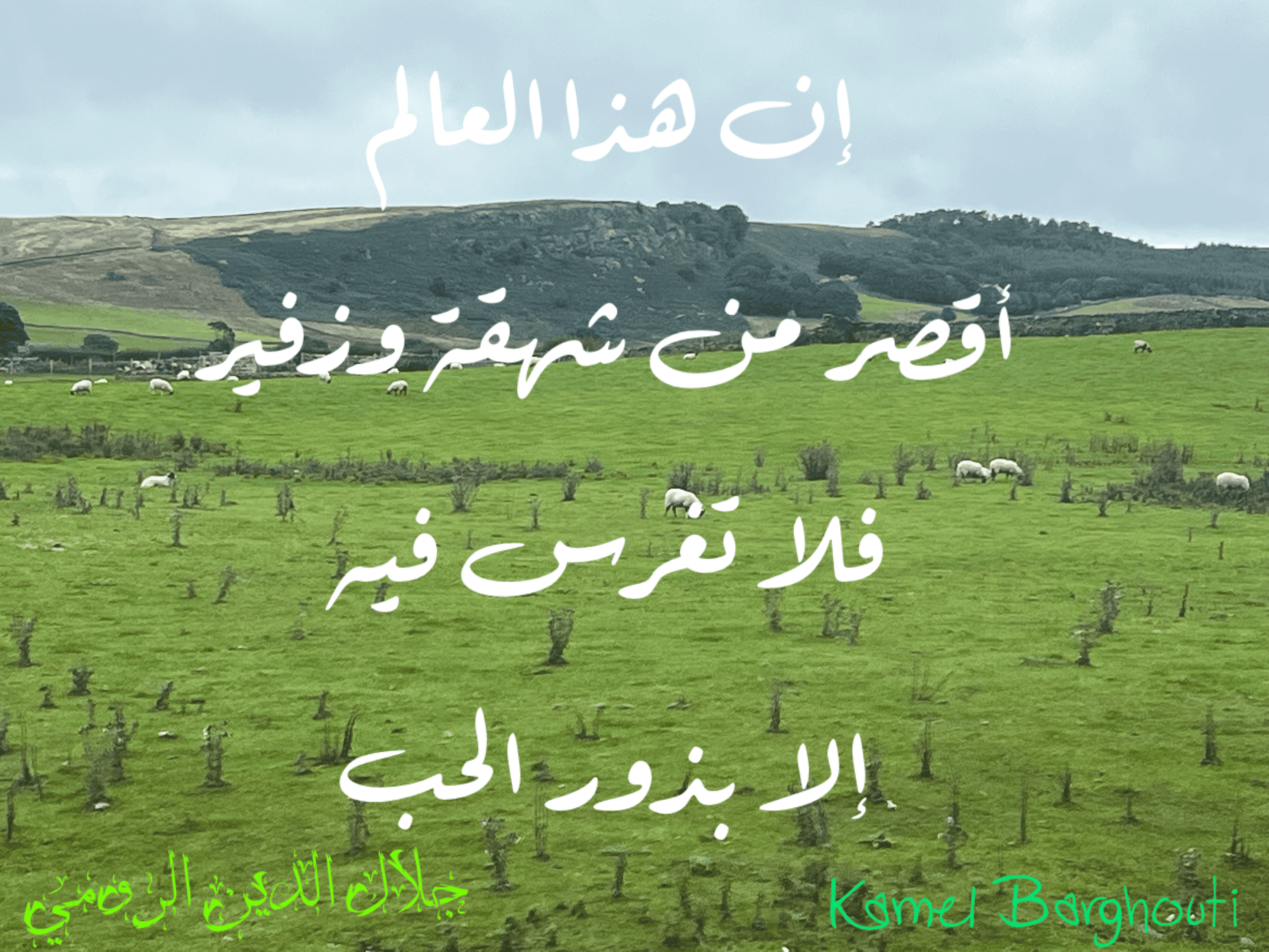 حب وحنين – اقتباس 96
