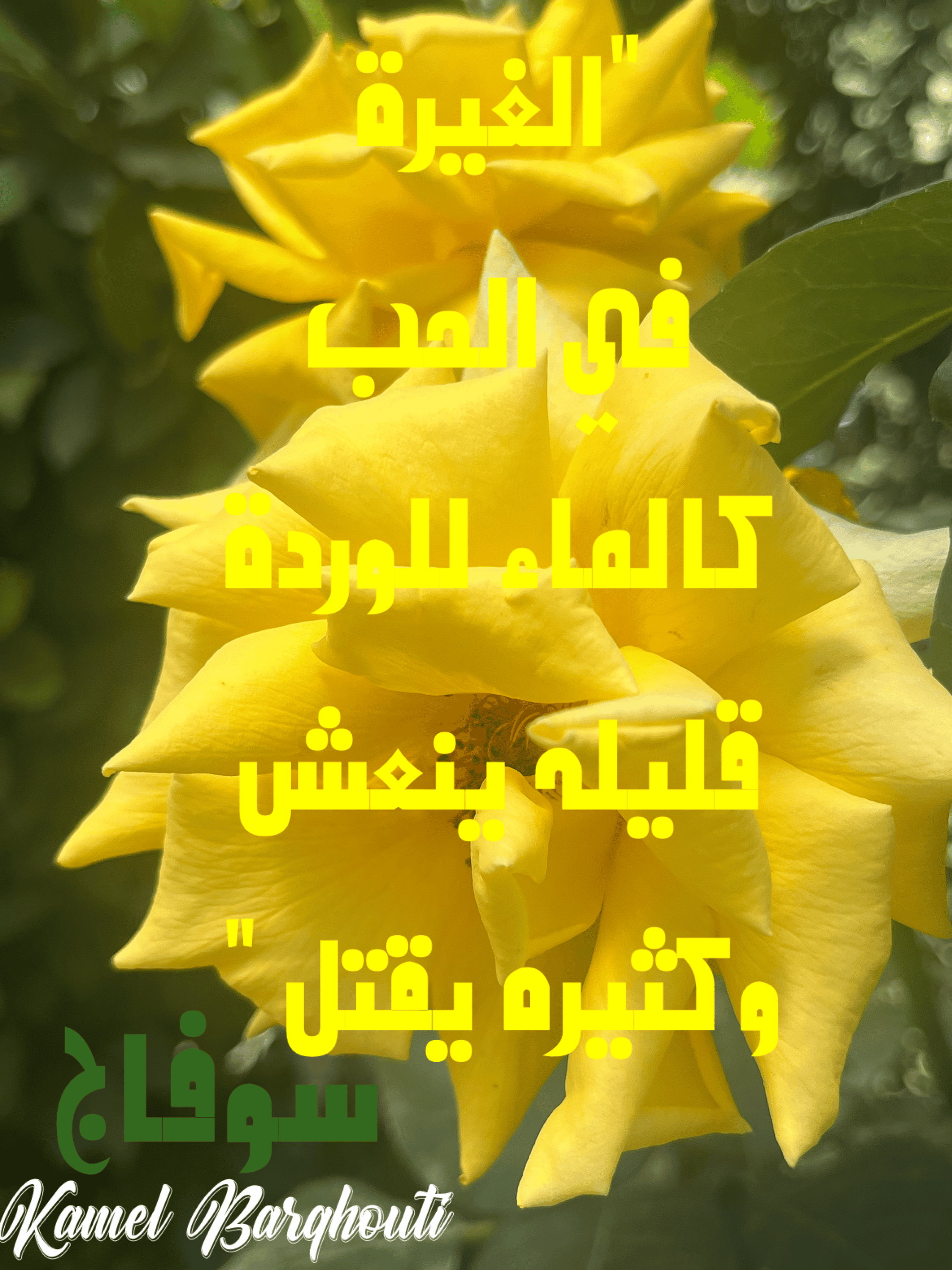حب وحنين – اقتباس 99