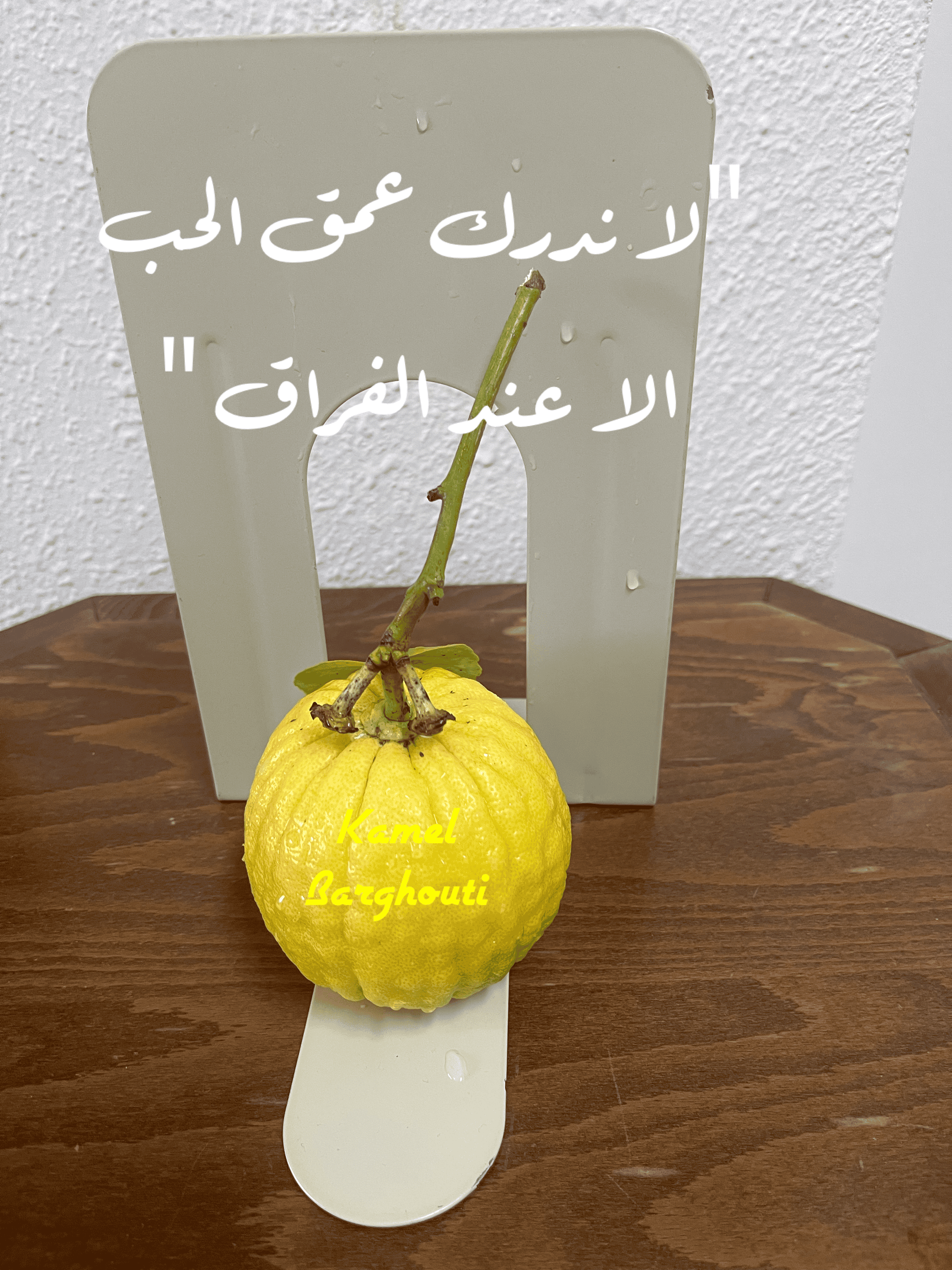 حب وحنين – اقتباس 91