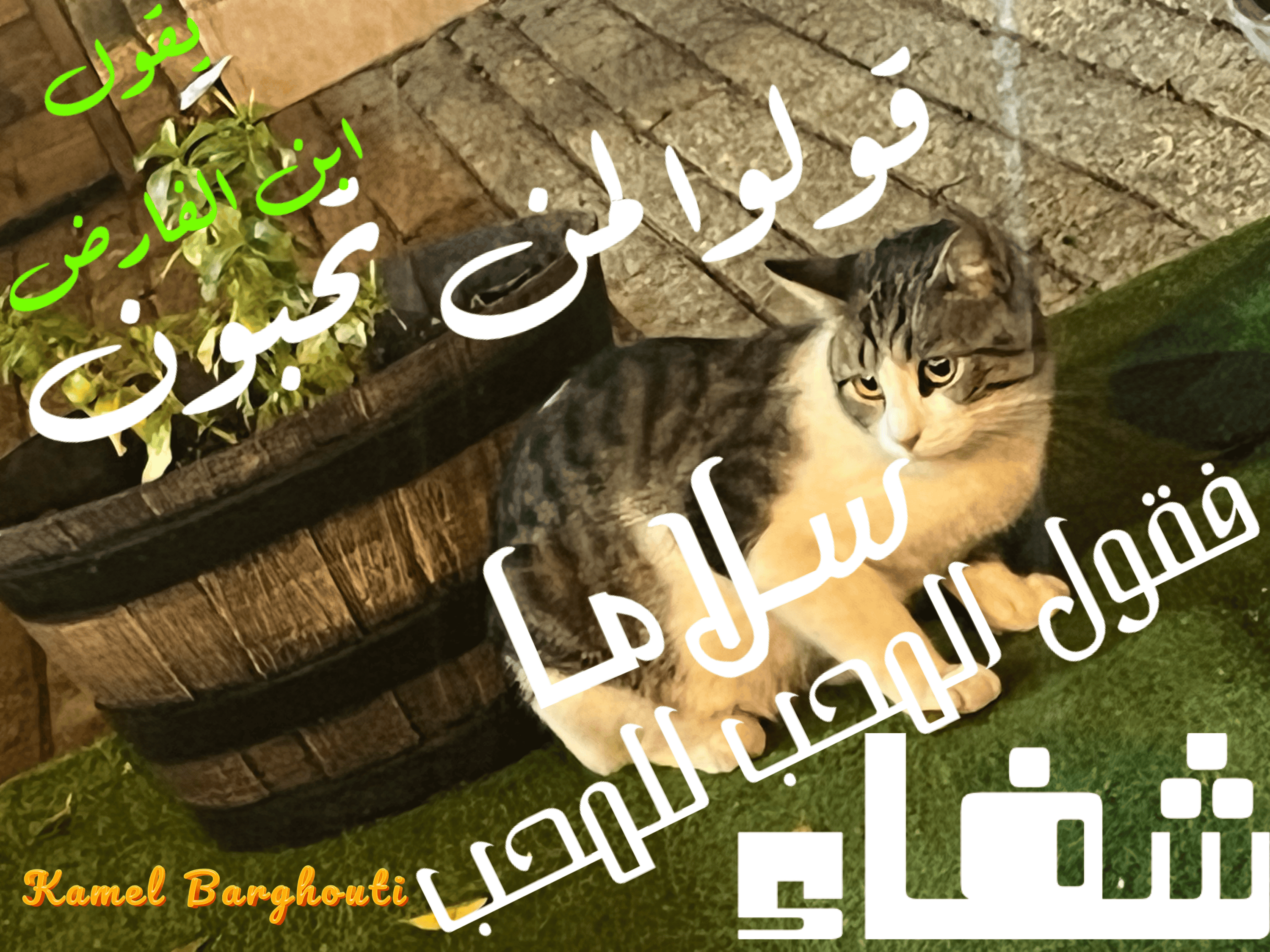 حب وحنين – اقتباس 86