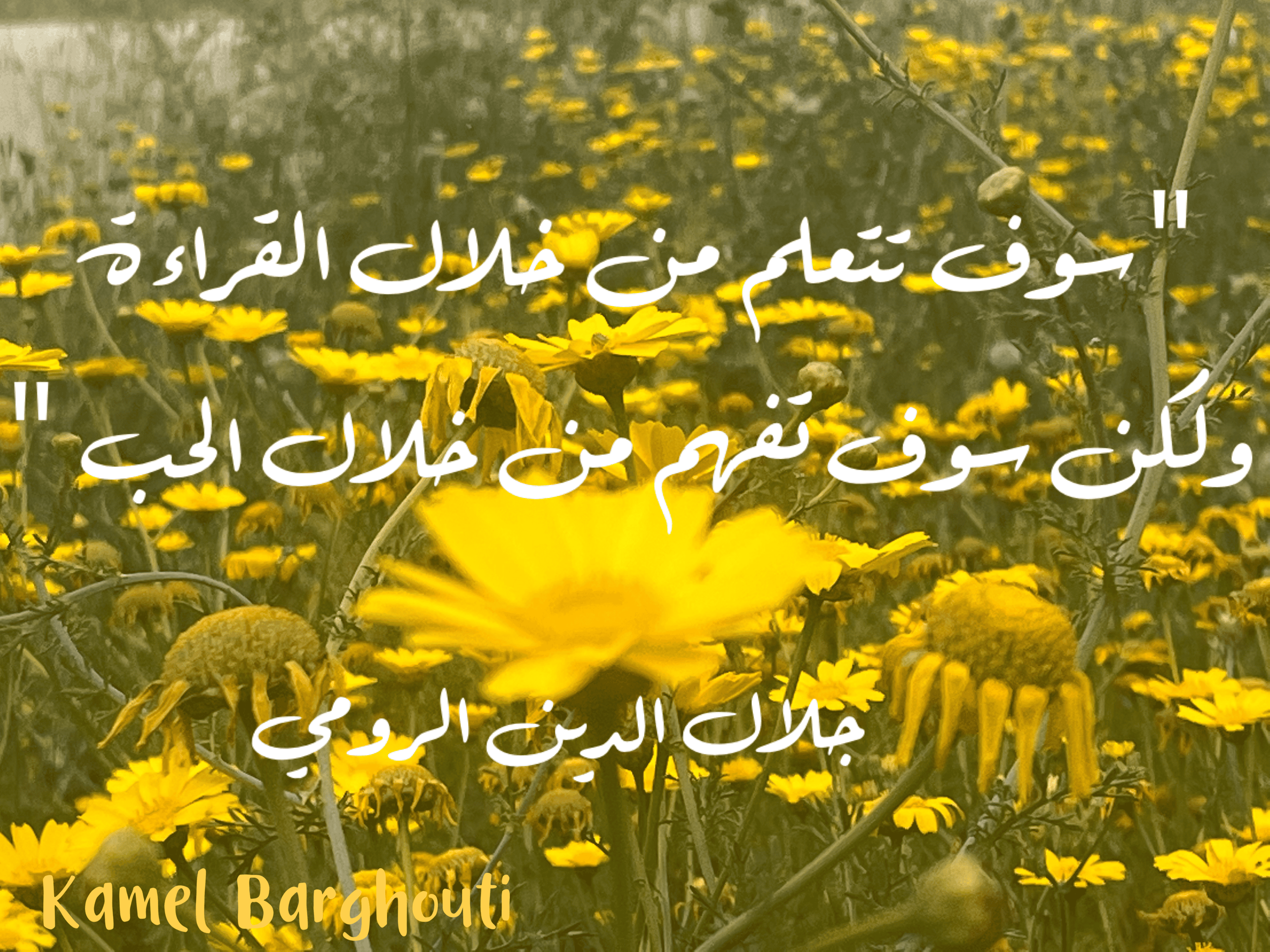 حب وحنين – اقتباس 80