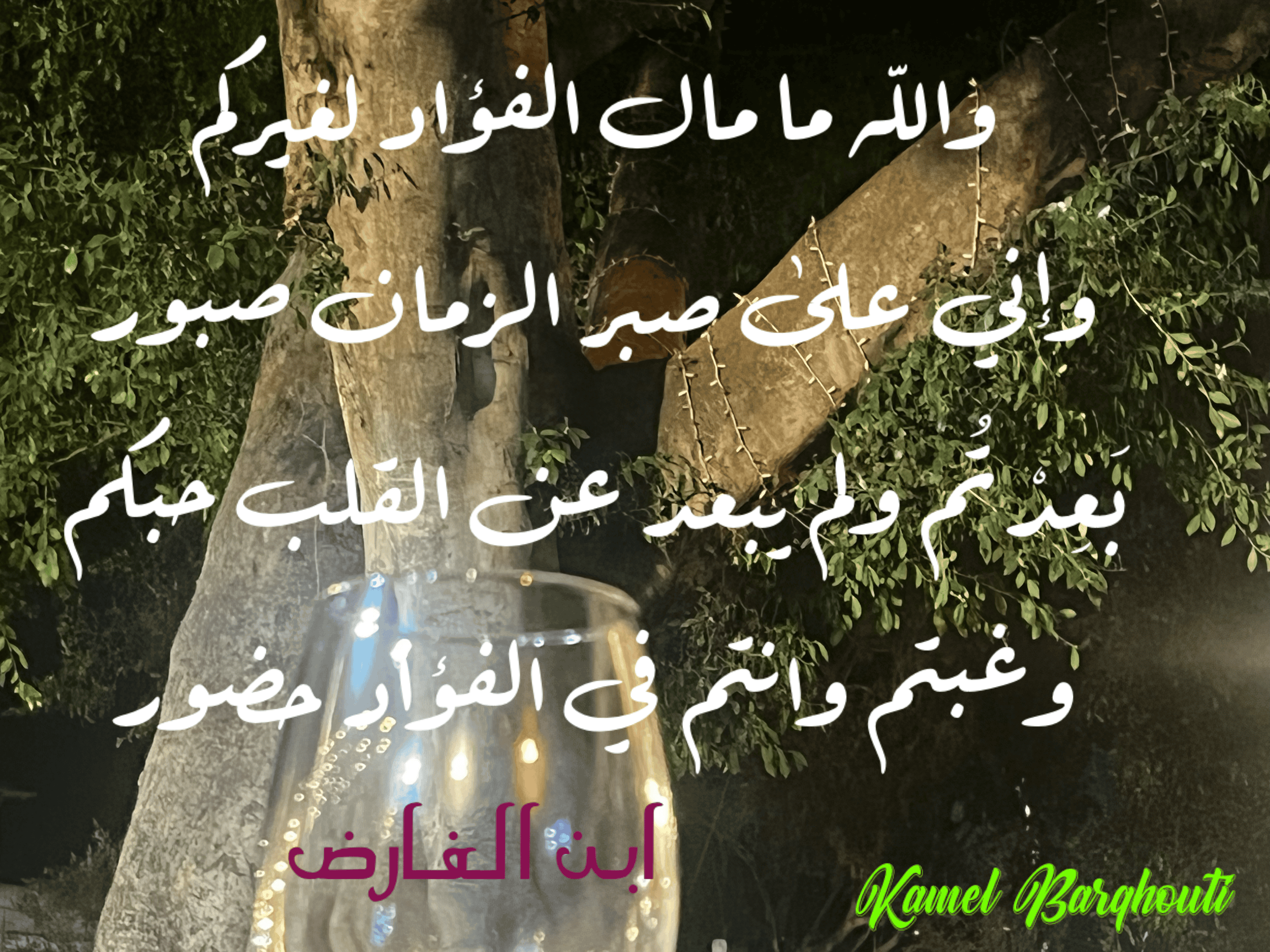 حب وحنين – اقتباس 69