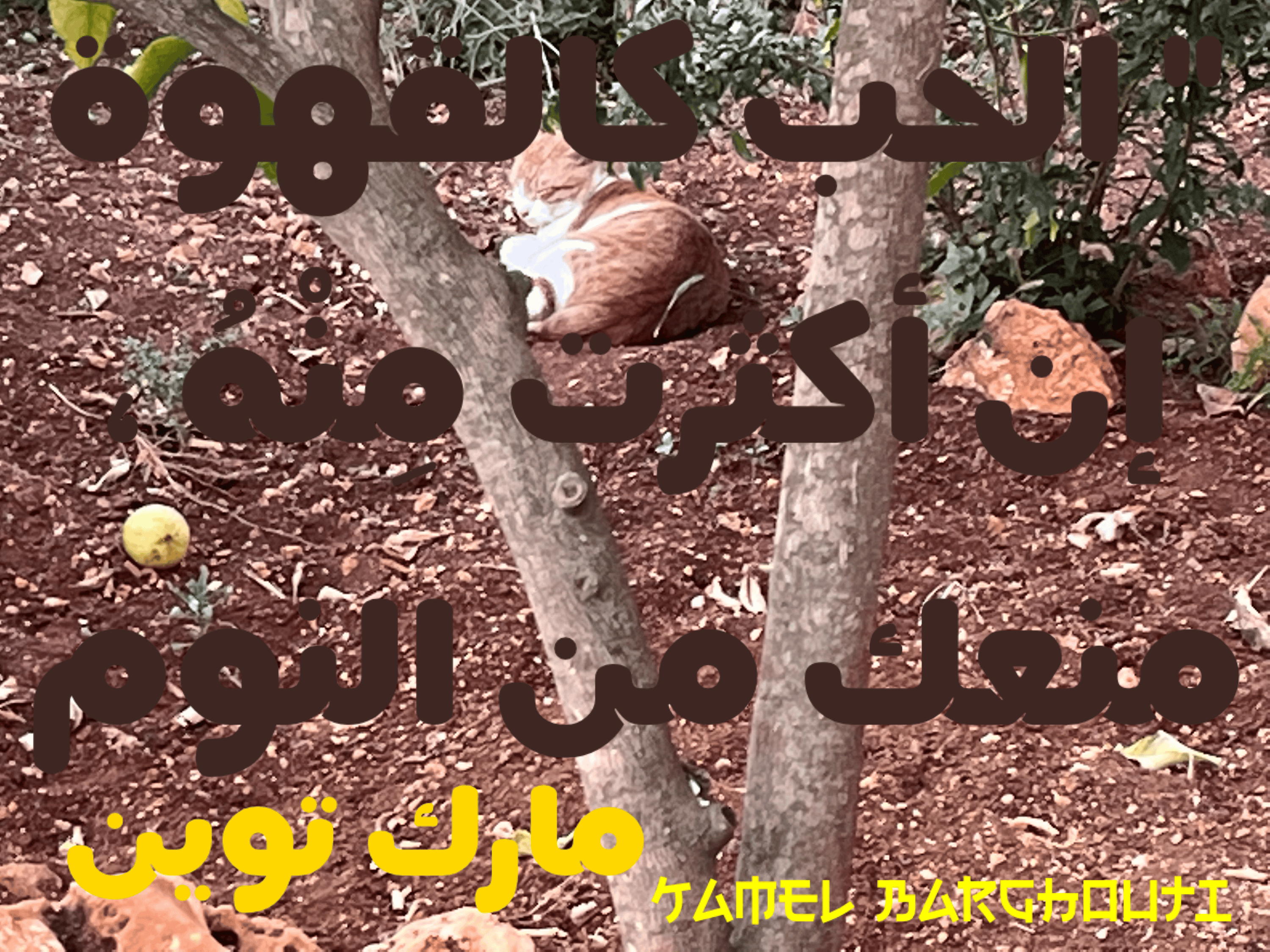 حب وحنين – اقتباس 66