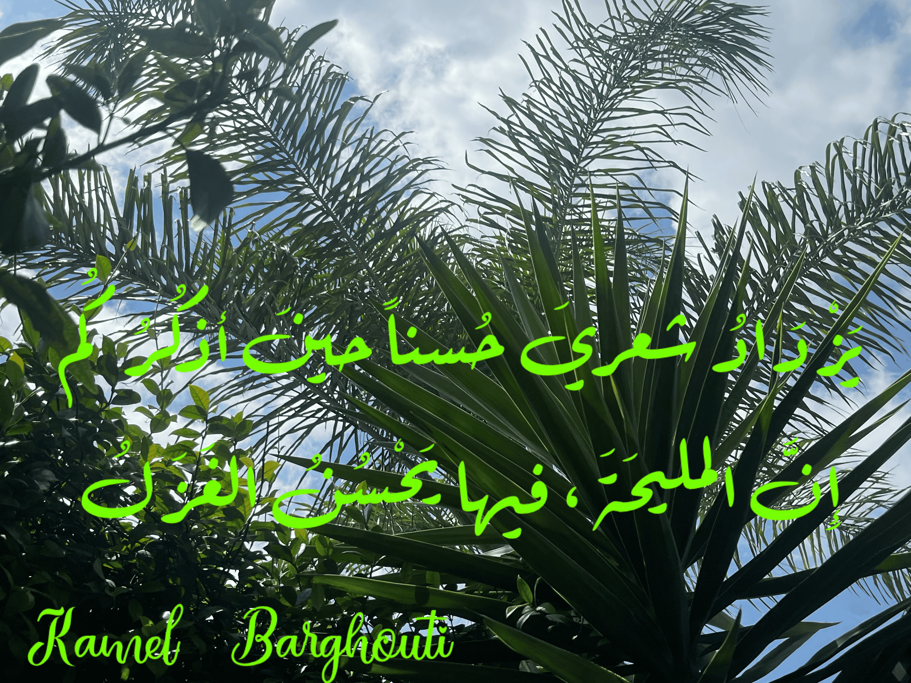 حب وحنين – اقتباس 61
