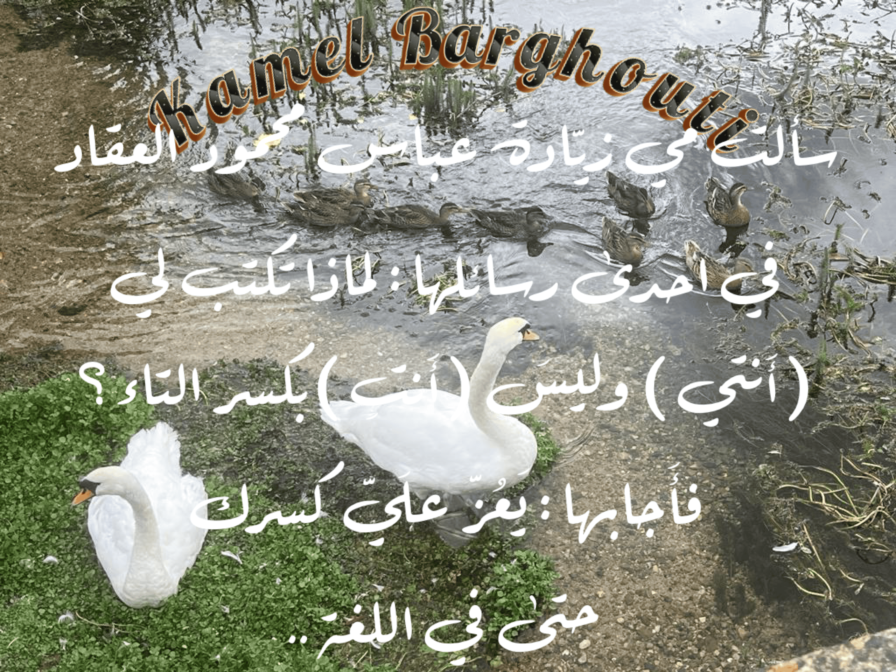 حب وحنين – اقتباس 49