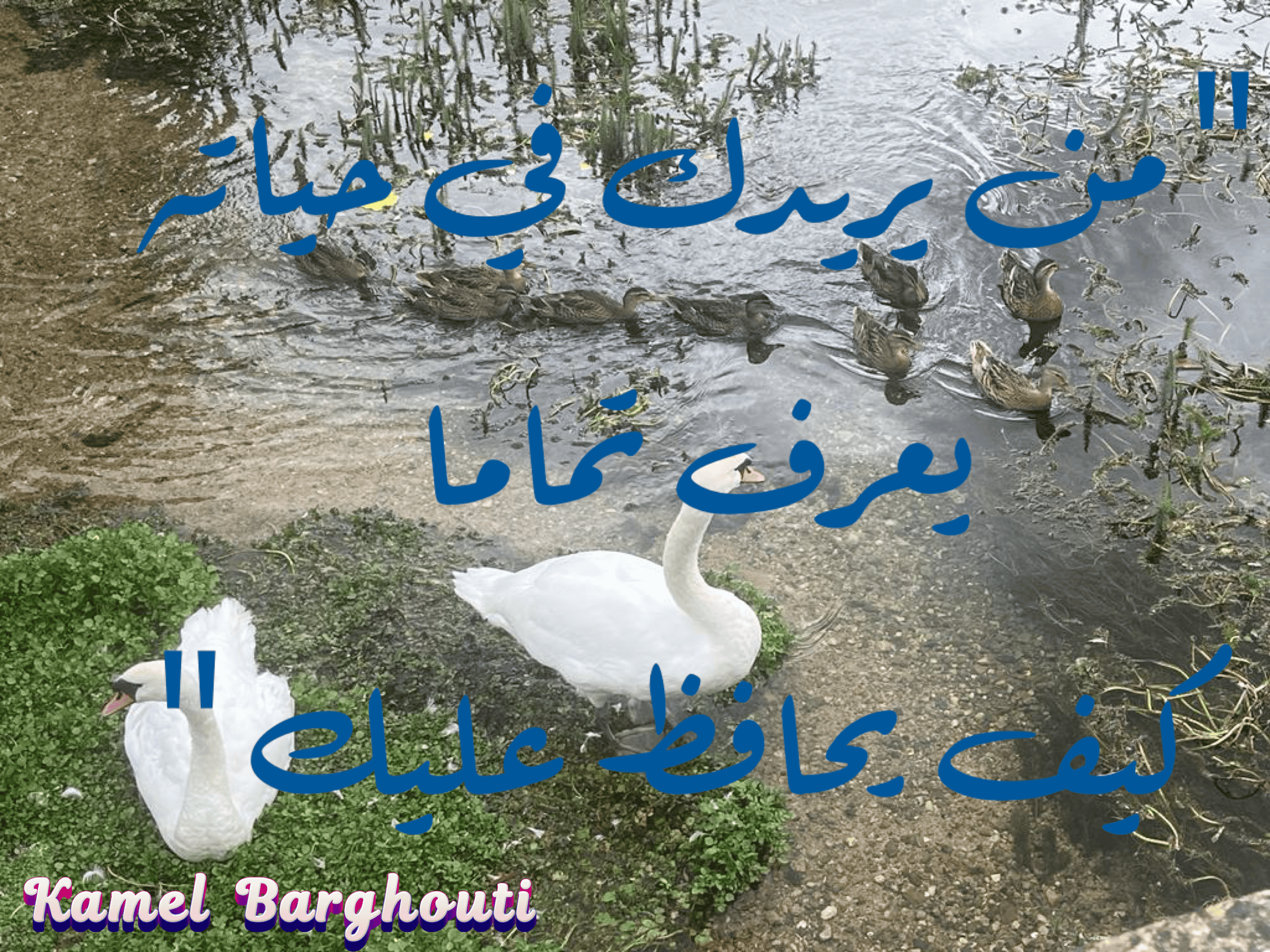 حب وحنين – اقتباس 45