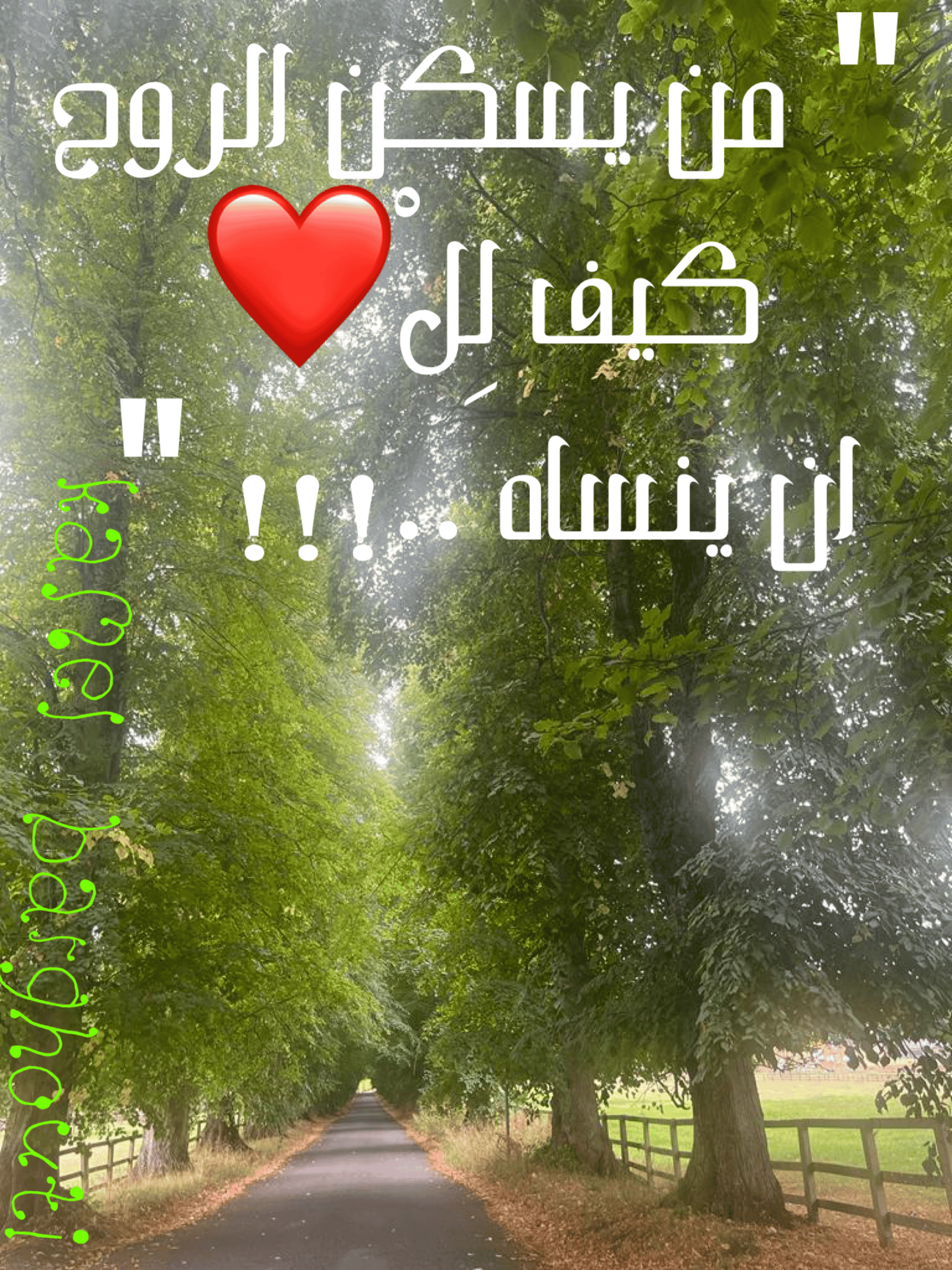 حب وحنين – اقتباس 41