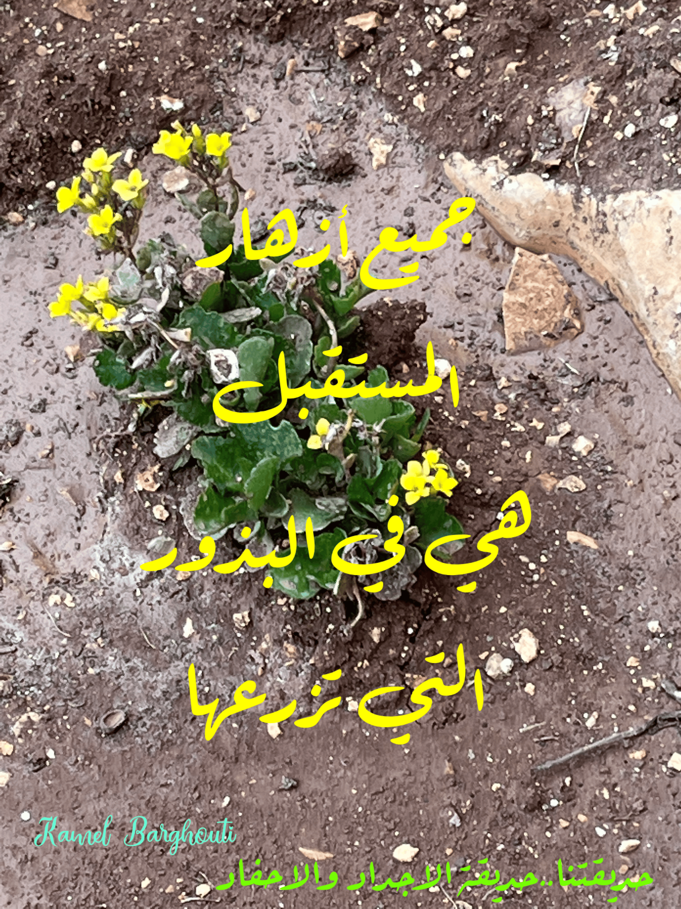 حب وحنين – اقتباس 38
