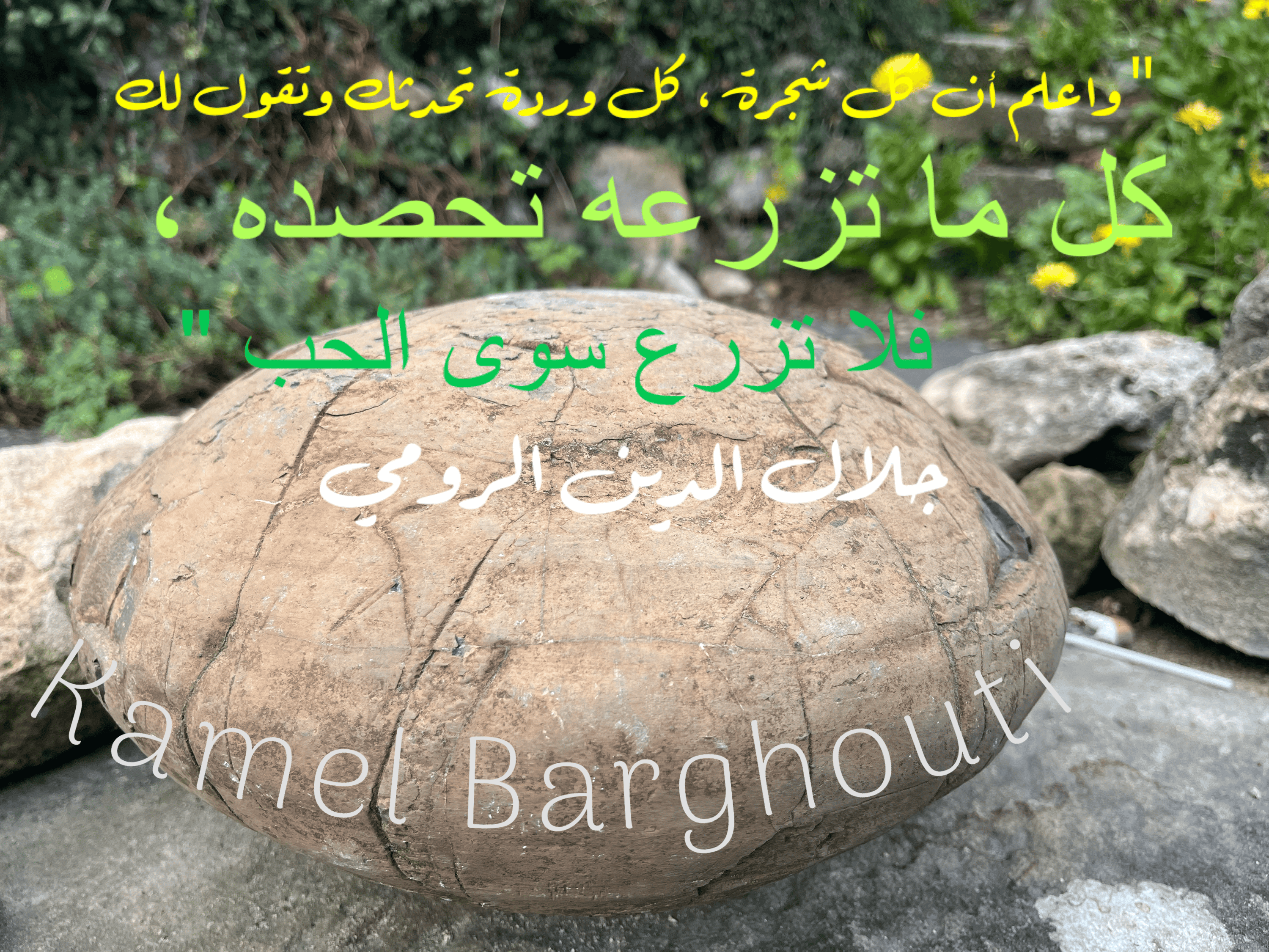 حب وحنين – اقتباس 43