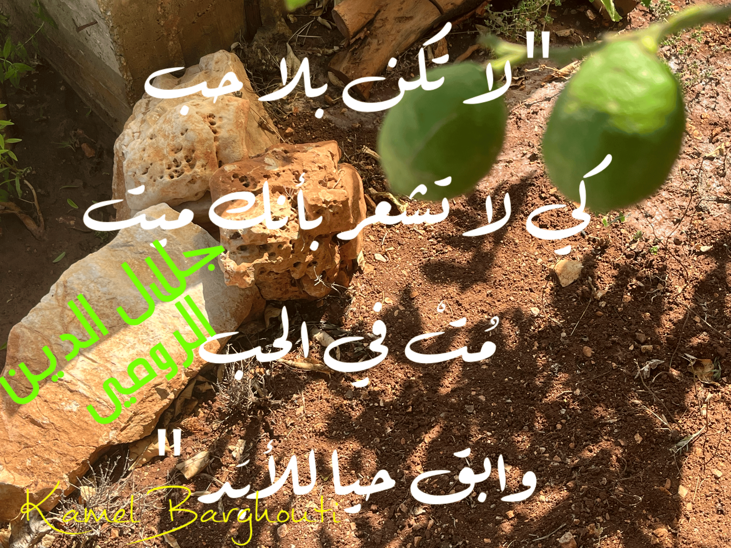 حب وحنين – اقتباس 33