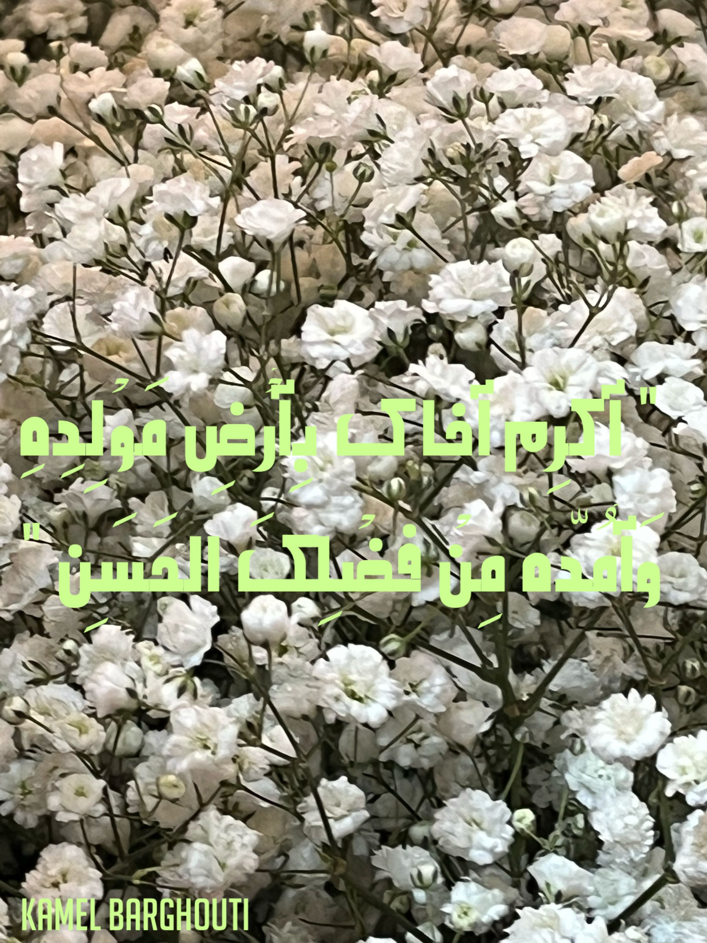وطن – اقتباس 98