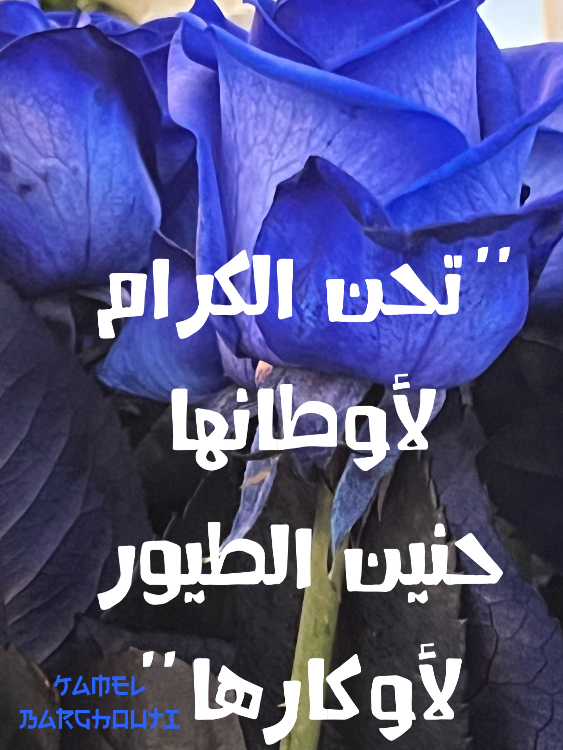 وطن – اقتباس 88
