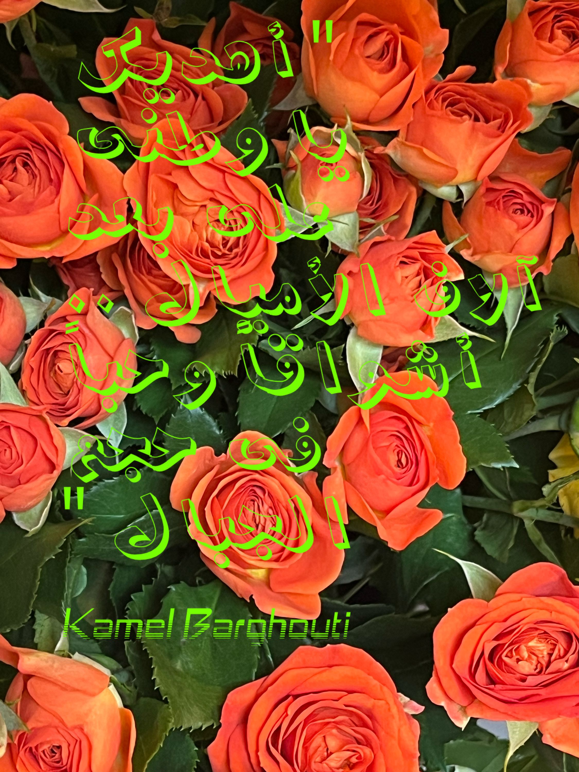 وطن – اقتباس 78