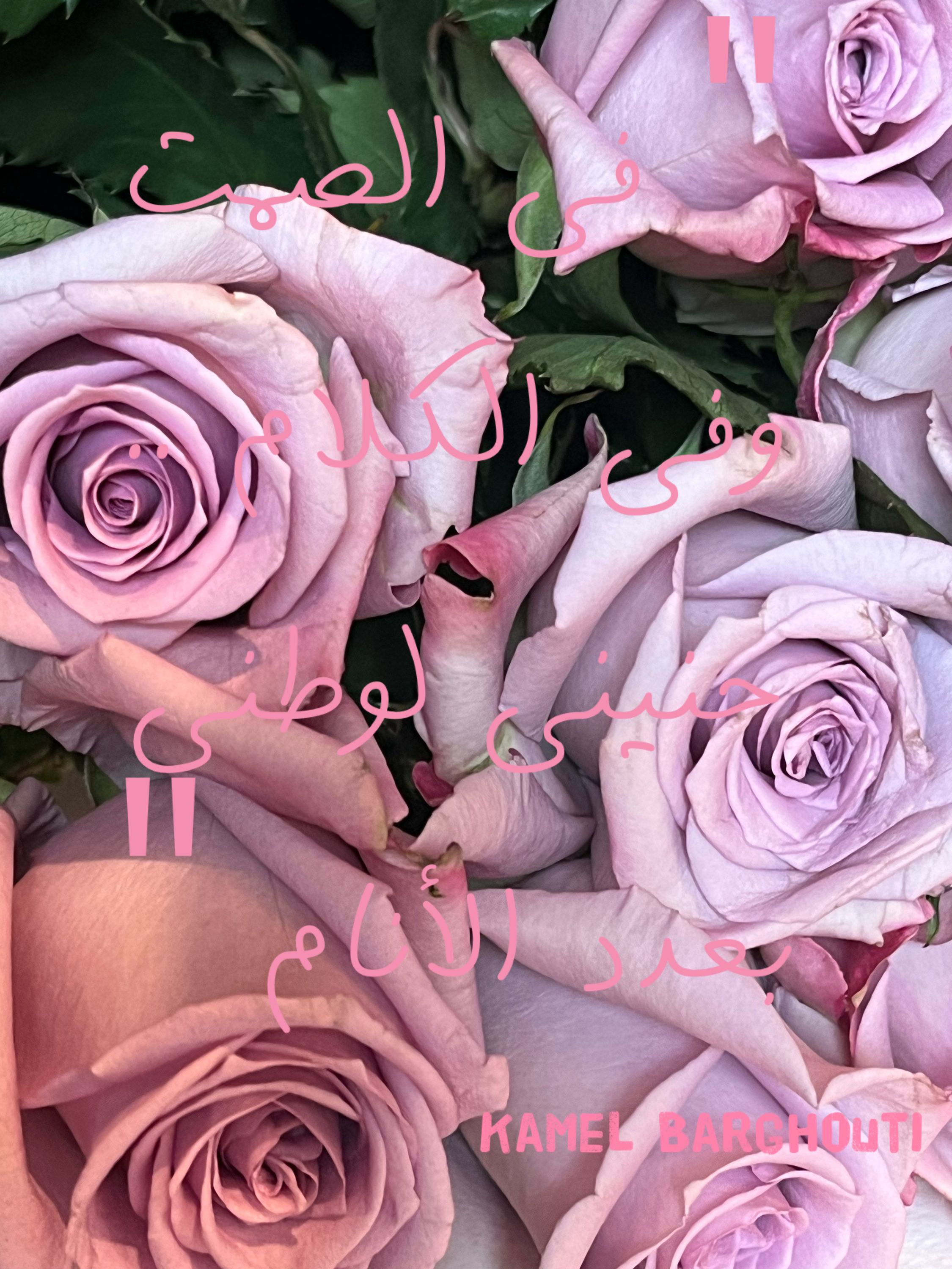 وطن – اقتباس 93