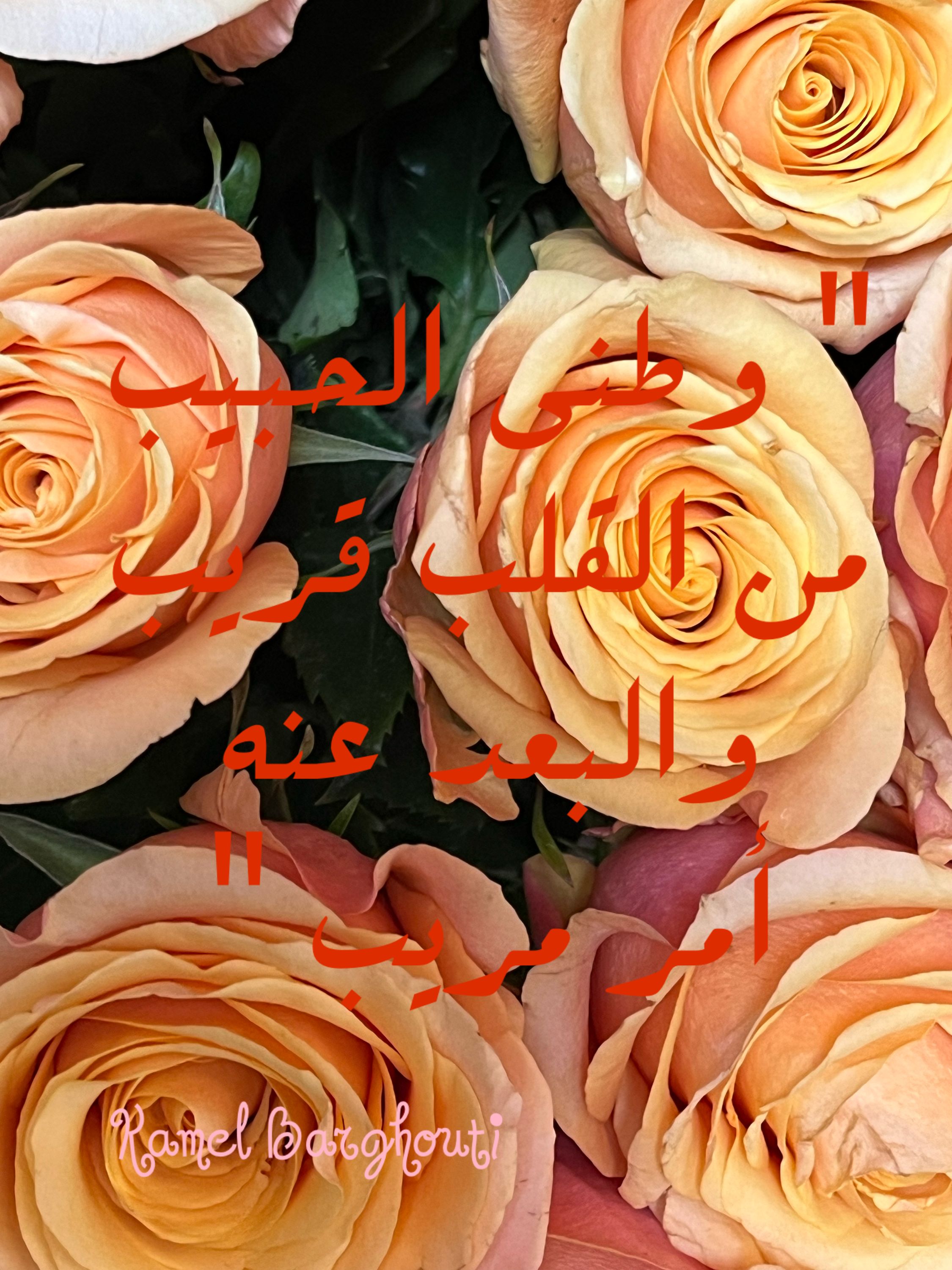وطن – اقتباس 94