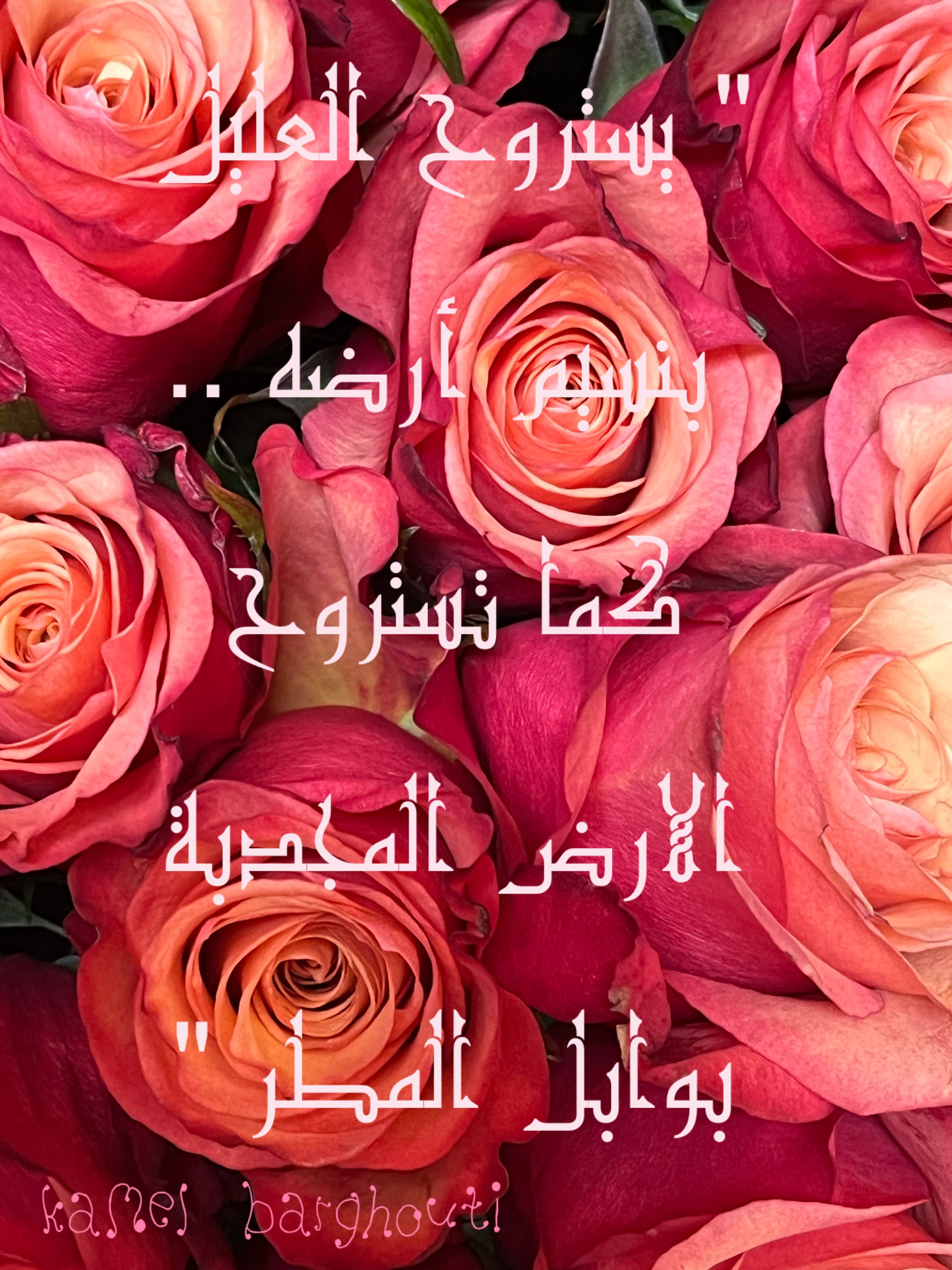 وطن – اقتباس 96