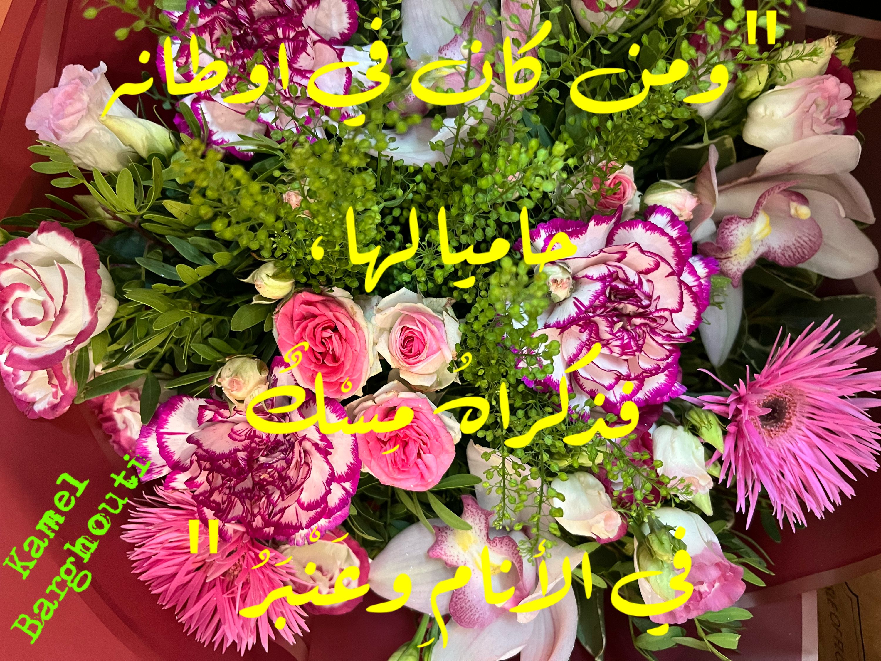 وطن – اقتباس 84