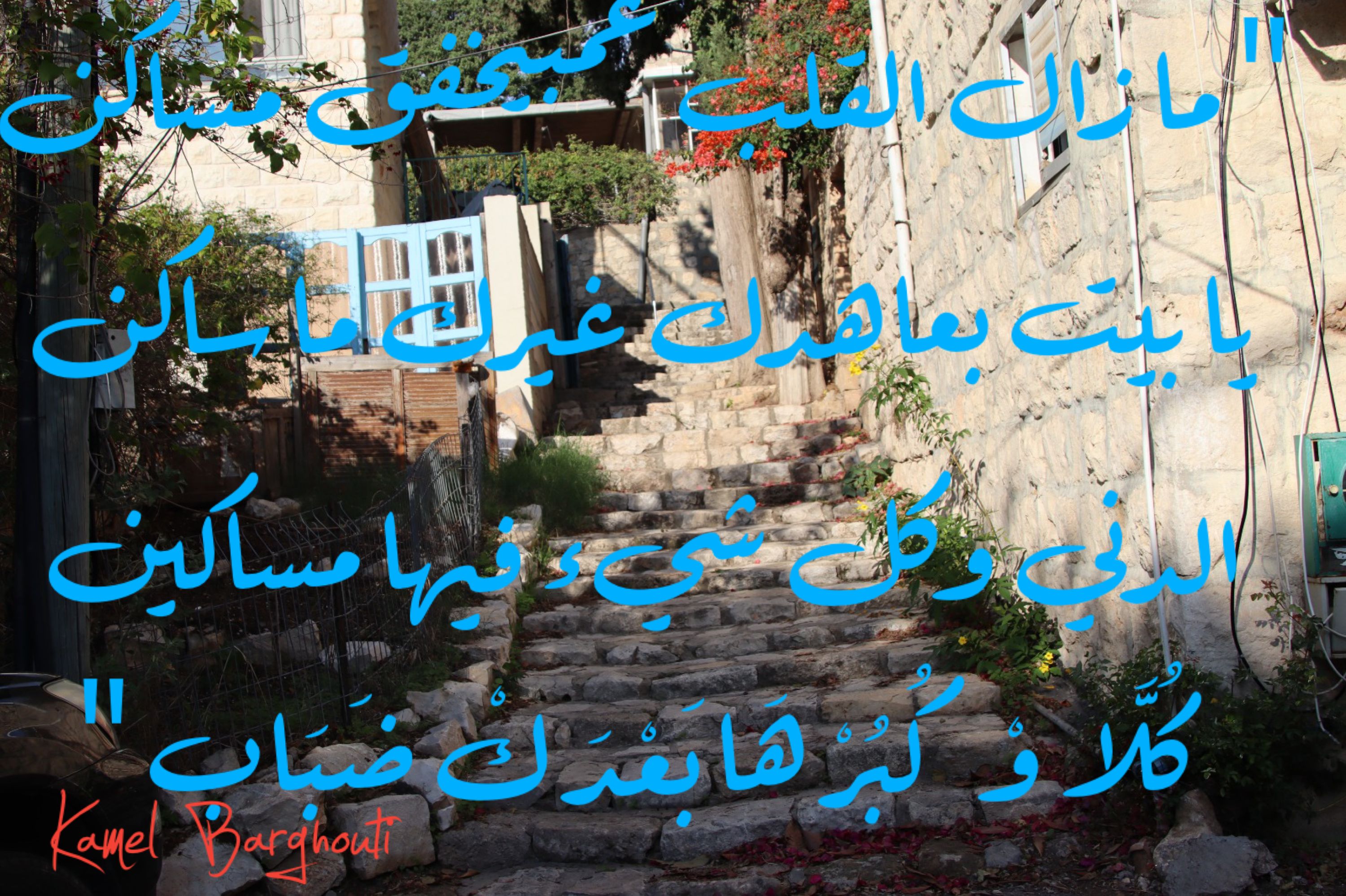 وطن – اقتباس 80