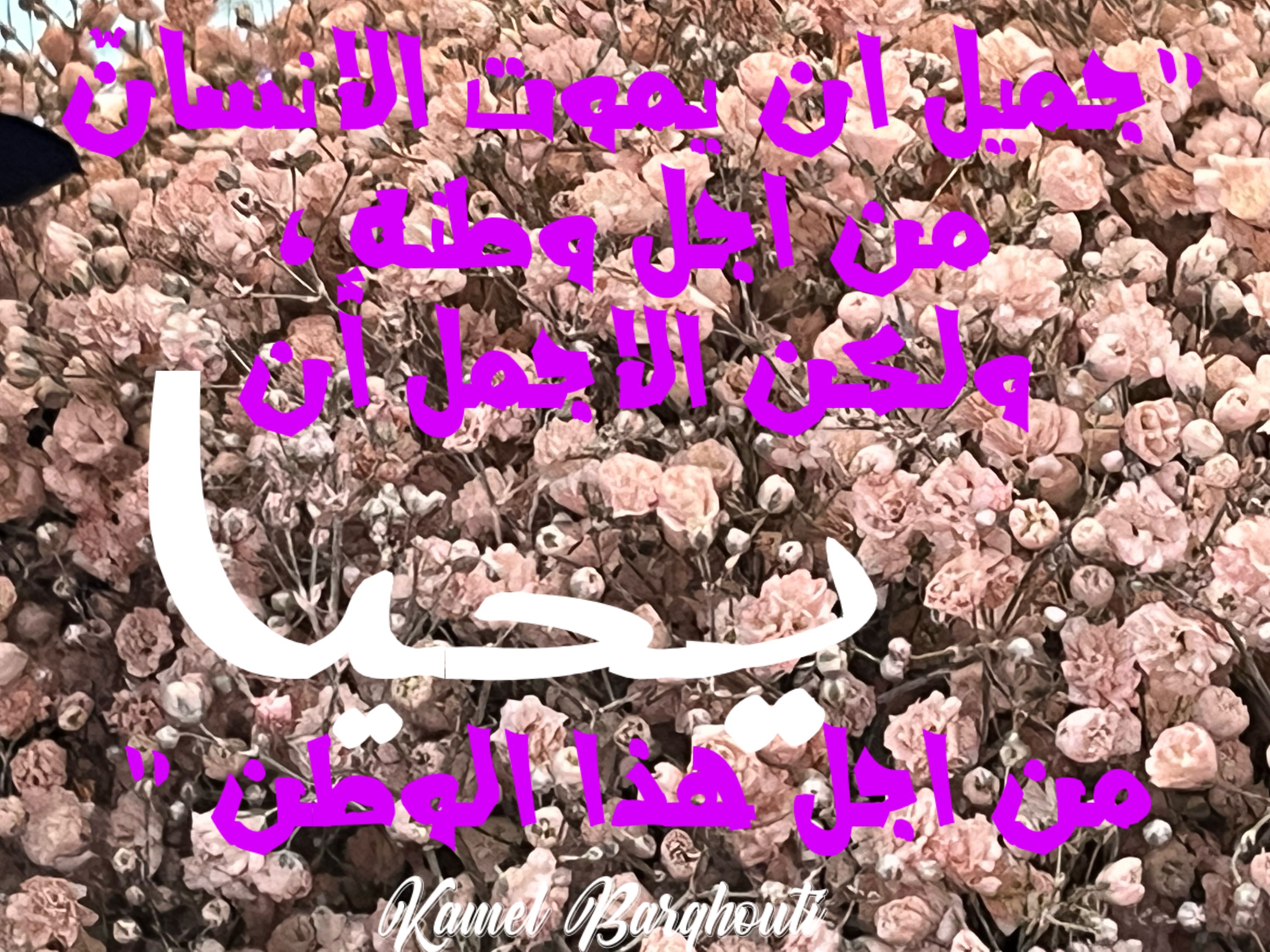 وطن – اقتباس 81