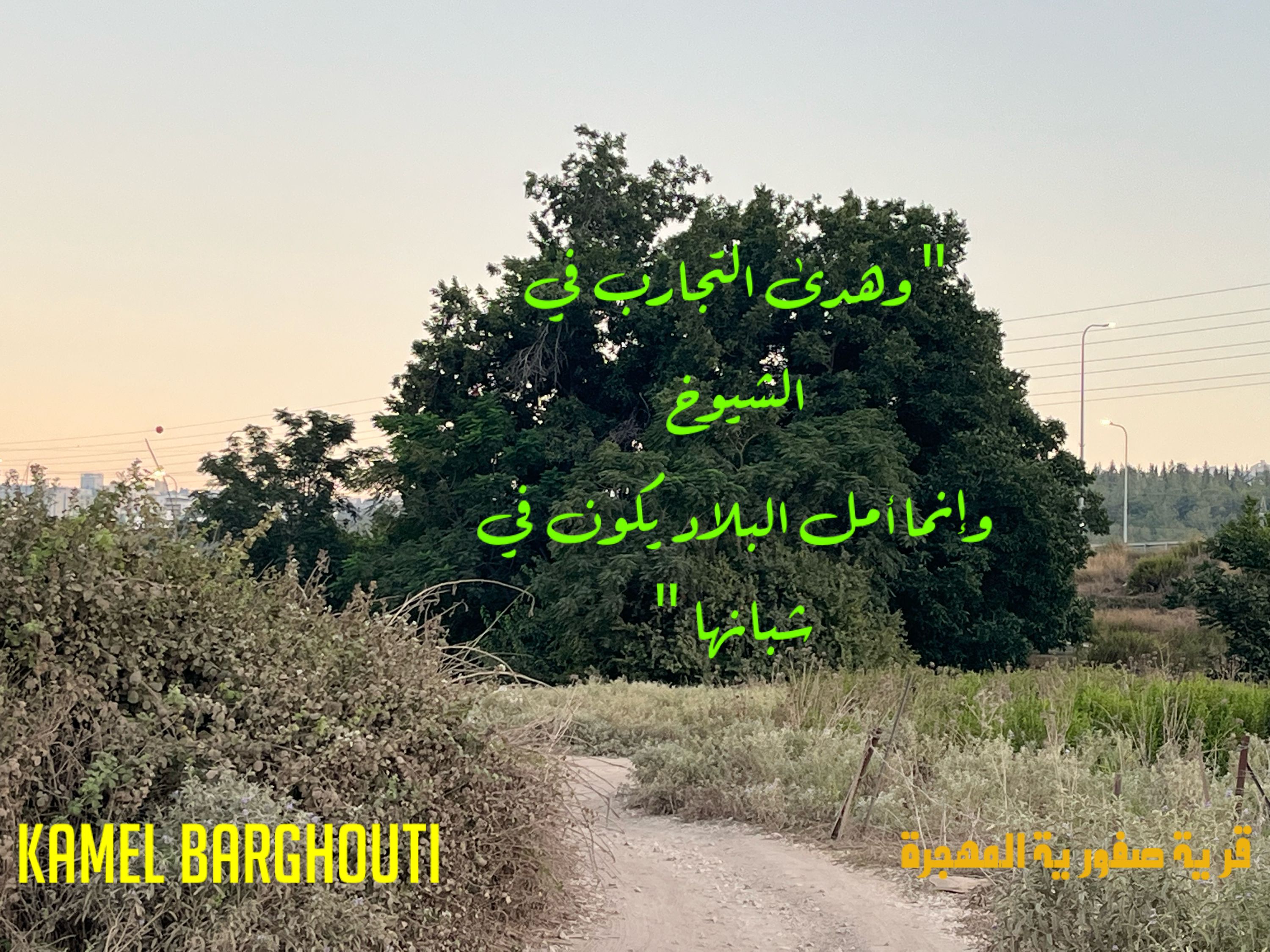 وطن – اقتباس 82