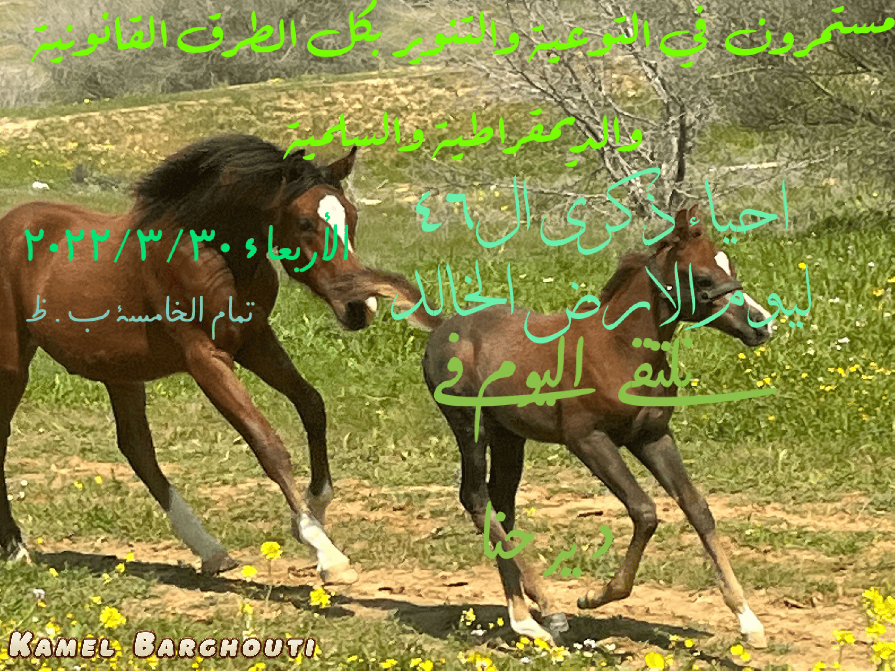 وطن – اقتباس 9