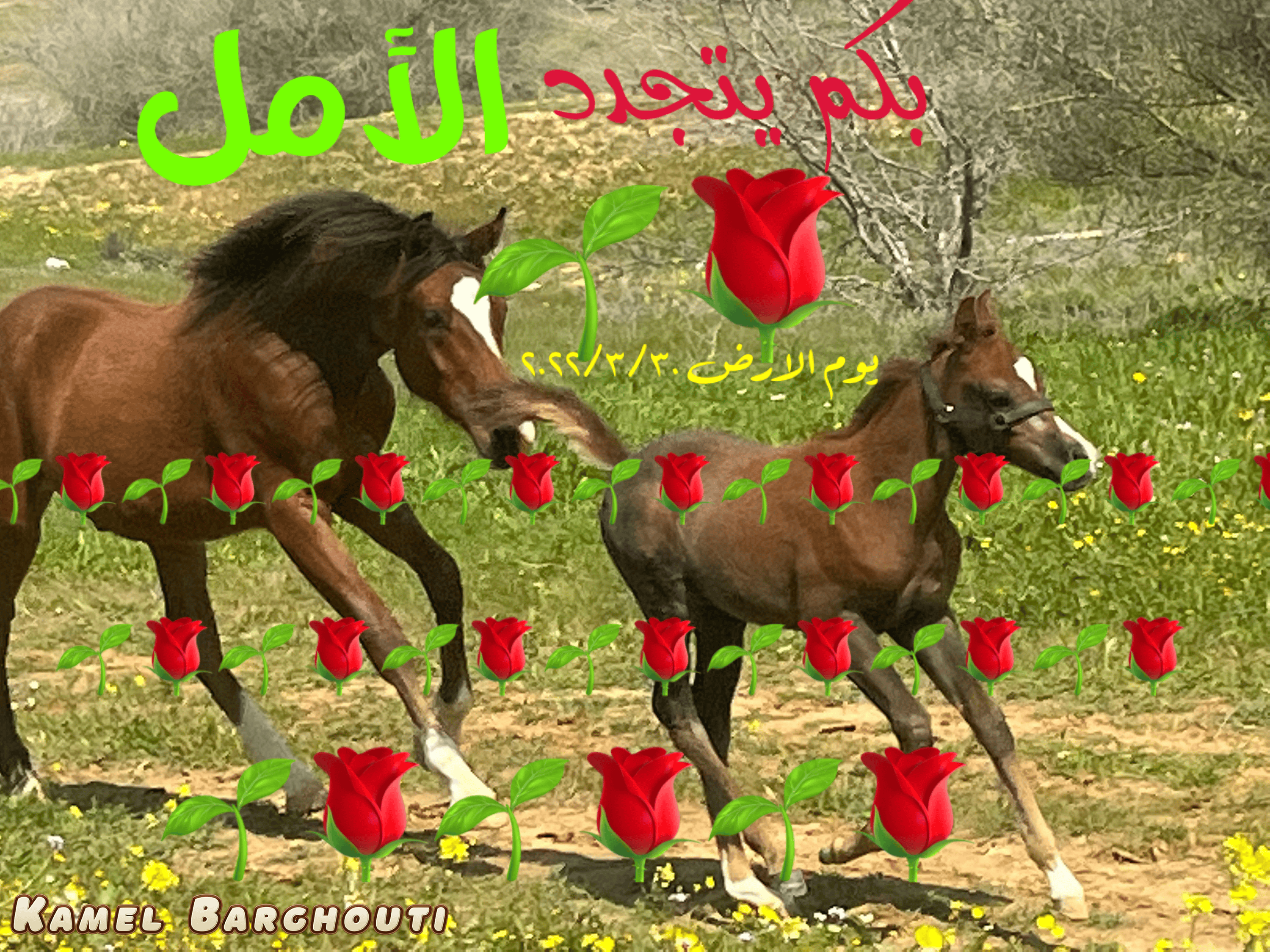 وطن – اقتباس 8