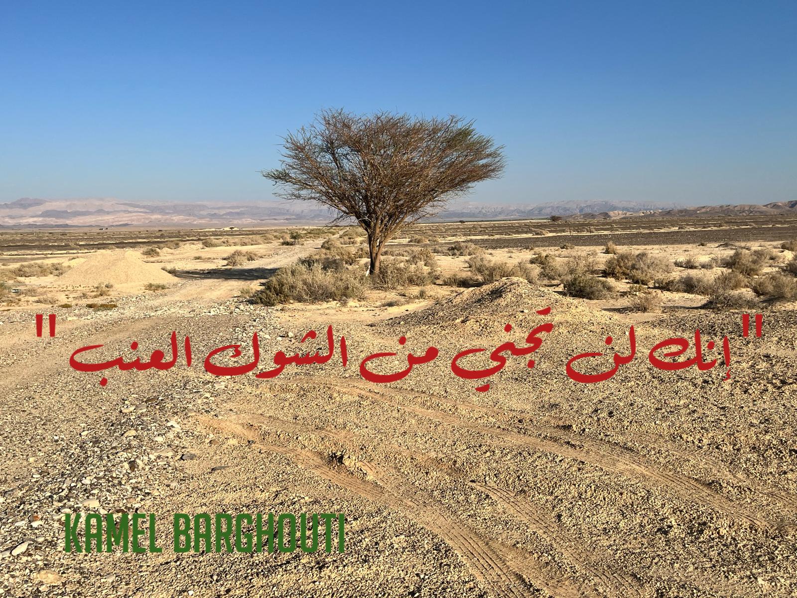 أمثال محلية – اقتباس 87