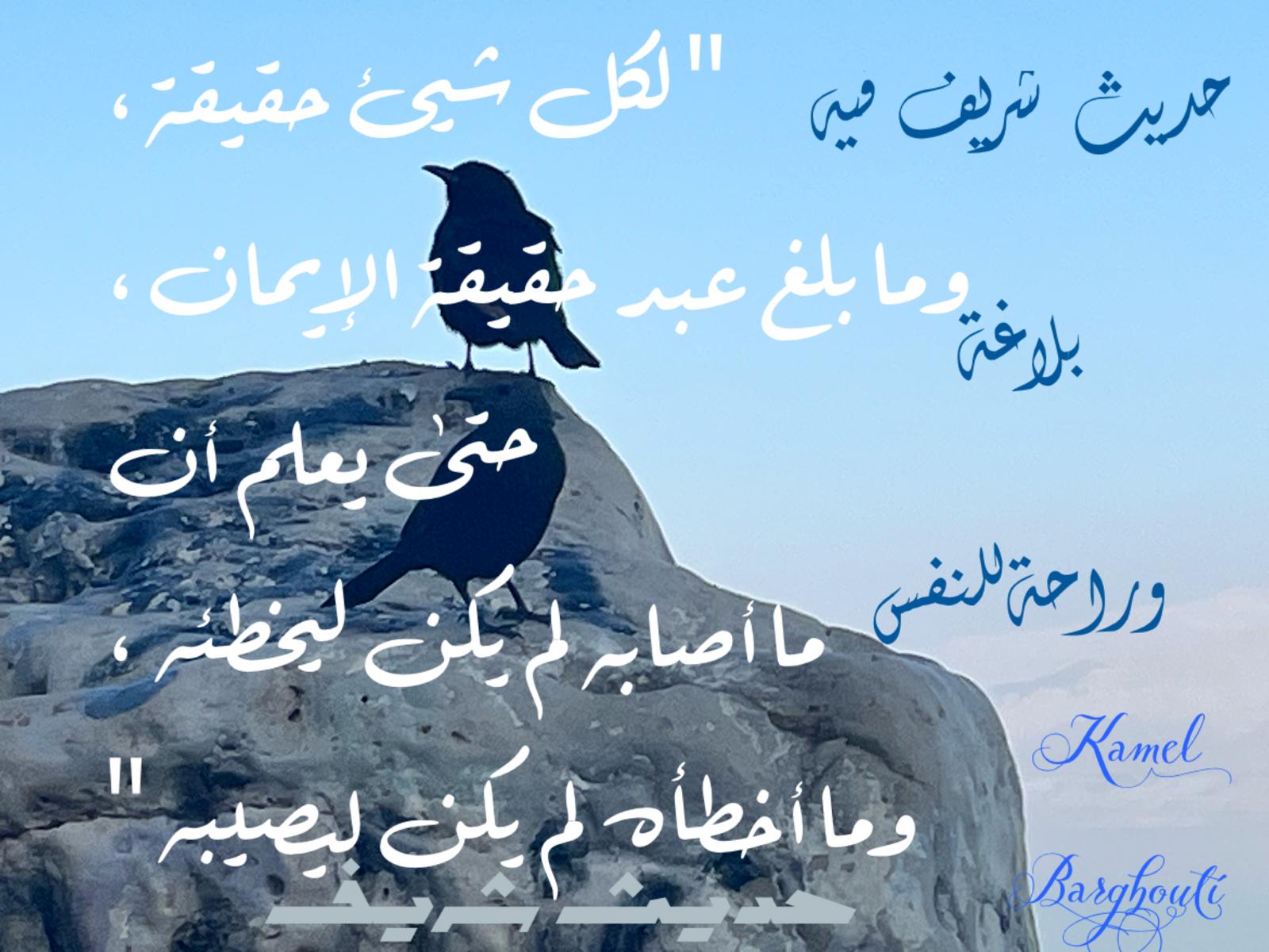 أمثال محلية – اقتباس 79