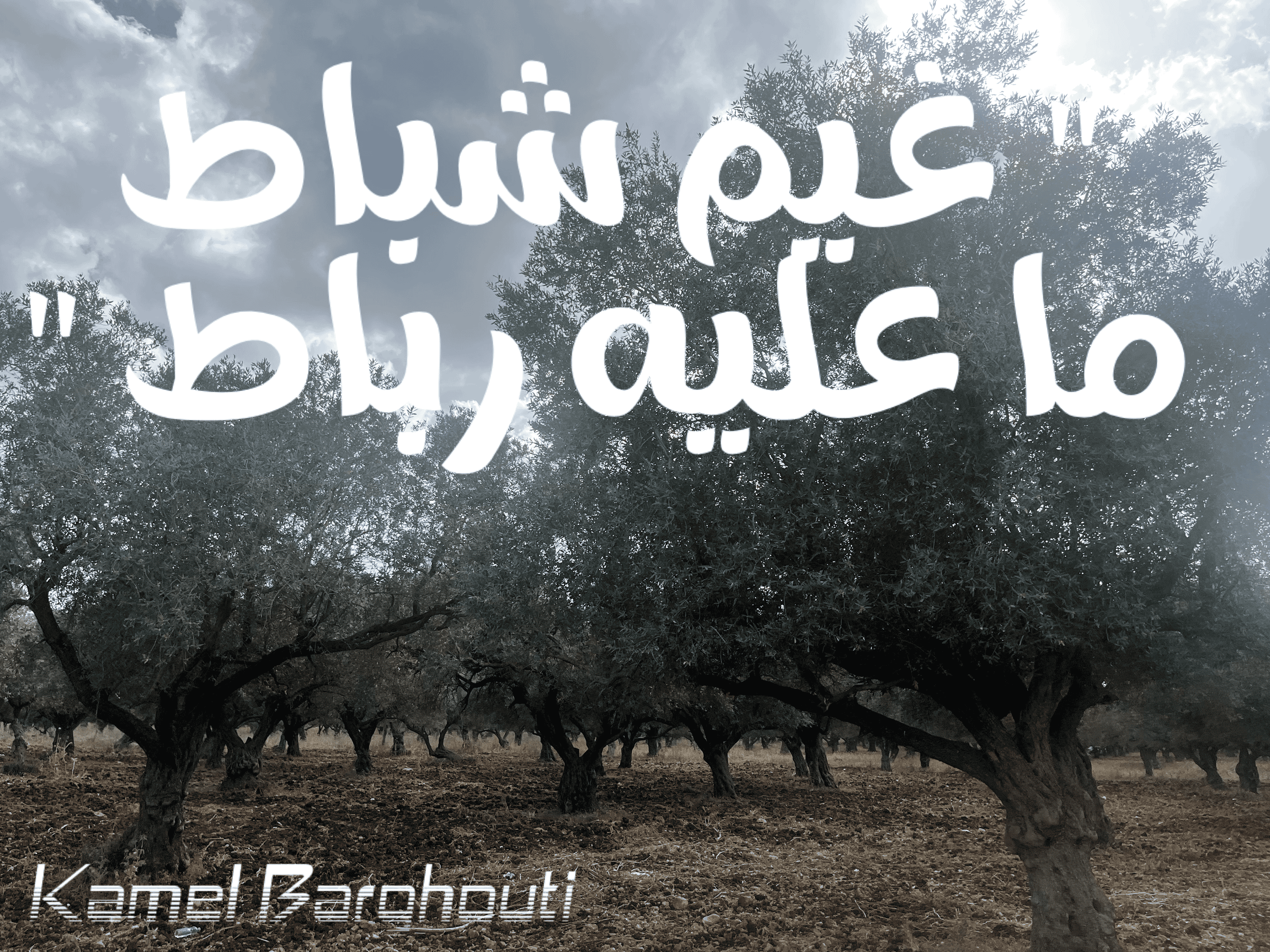 أمثال محلية – اقتباس 62