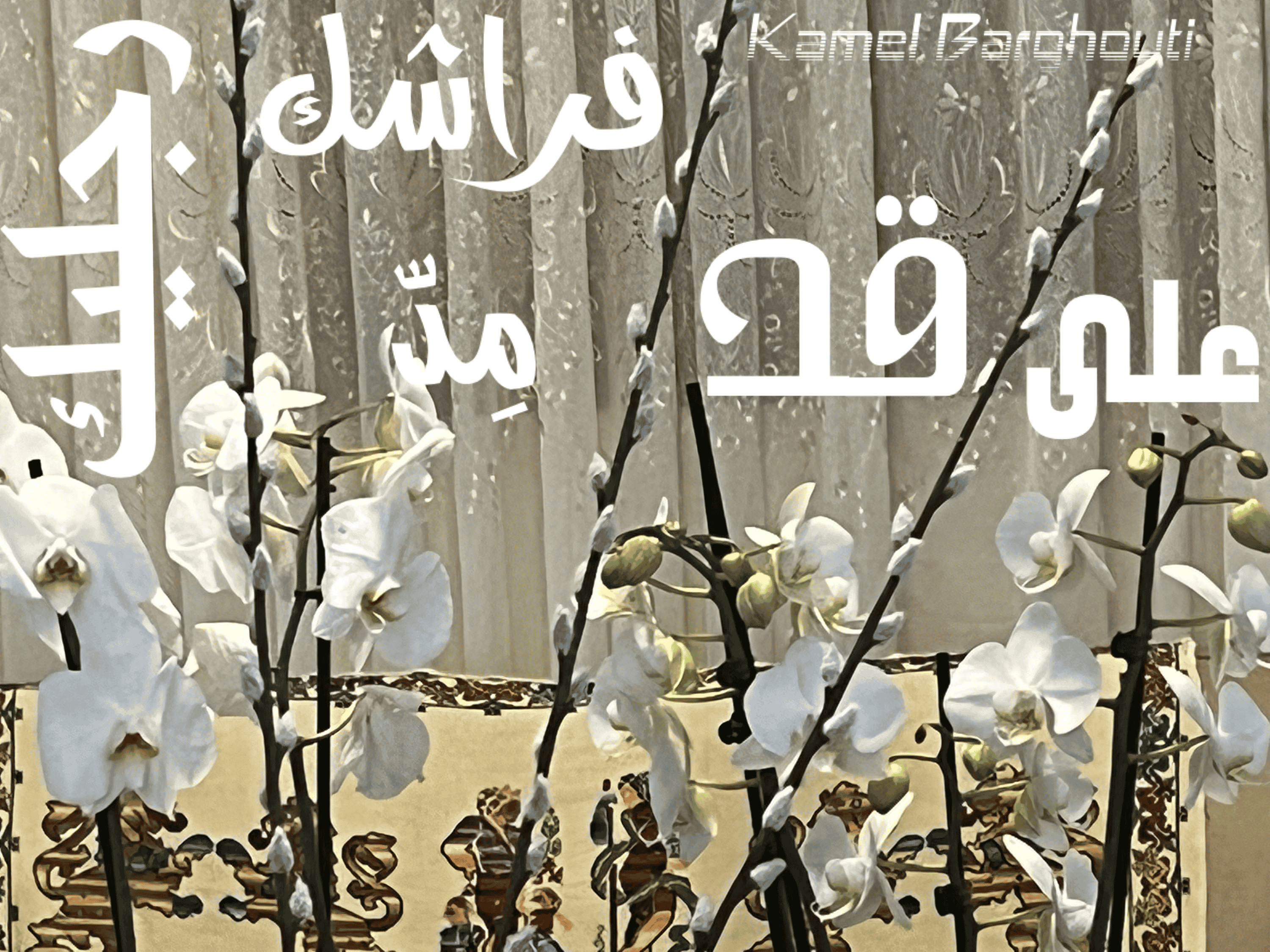 أمثال محلية – اقتباس 56