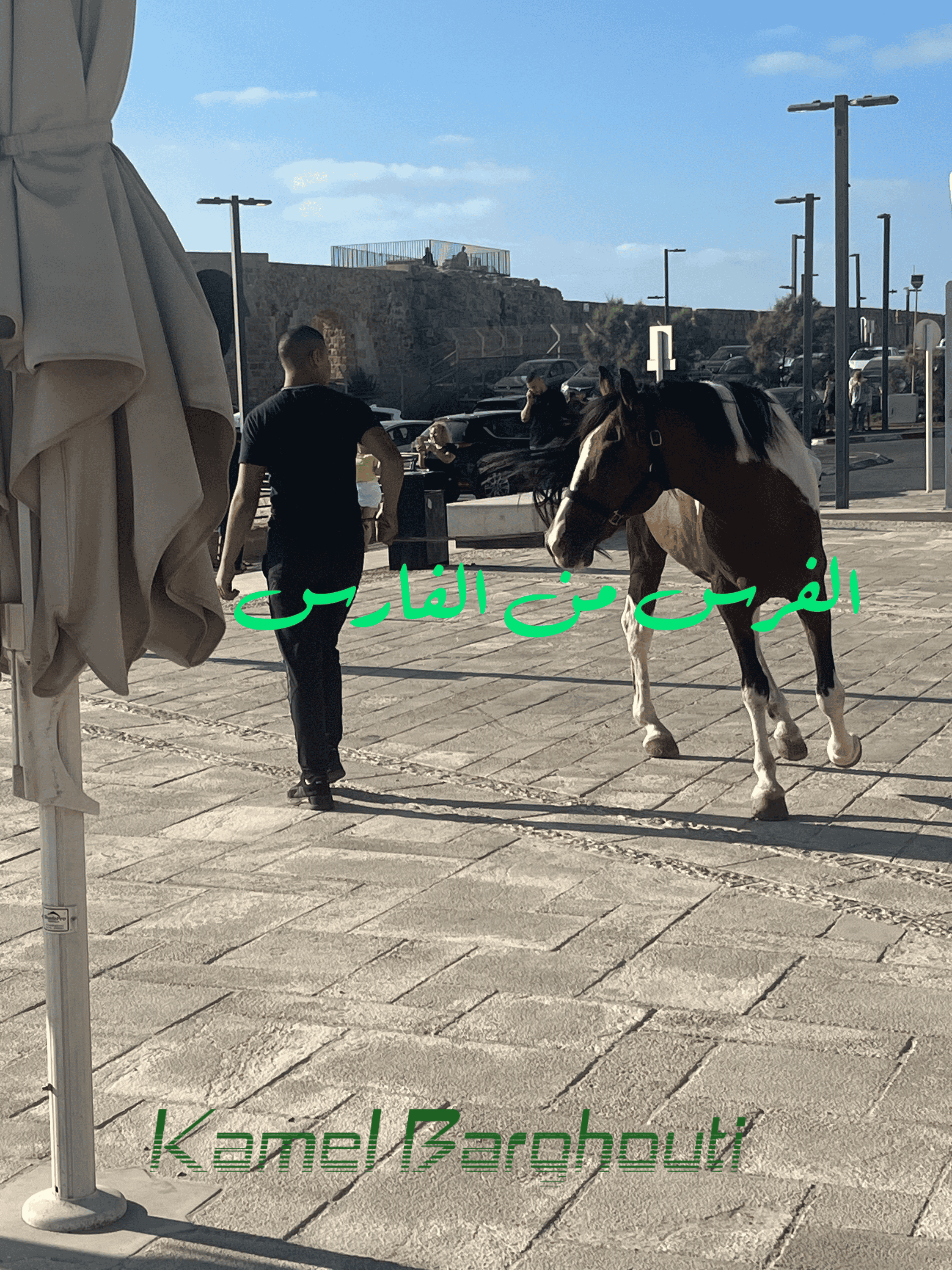 أمثال محلية – اقتباس 60
