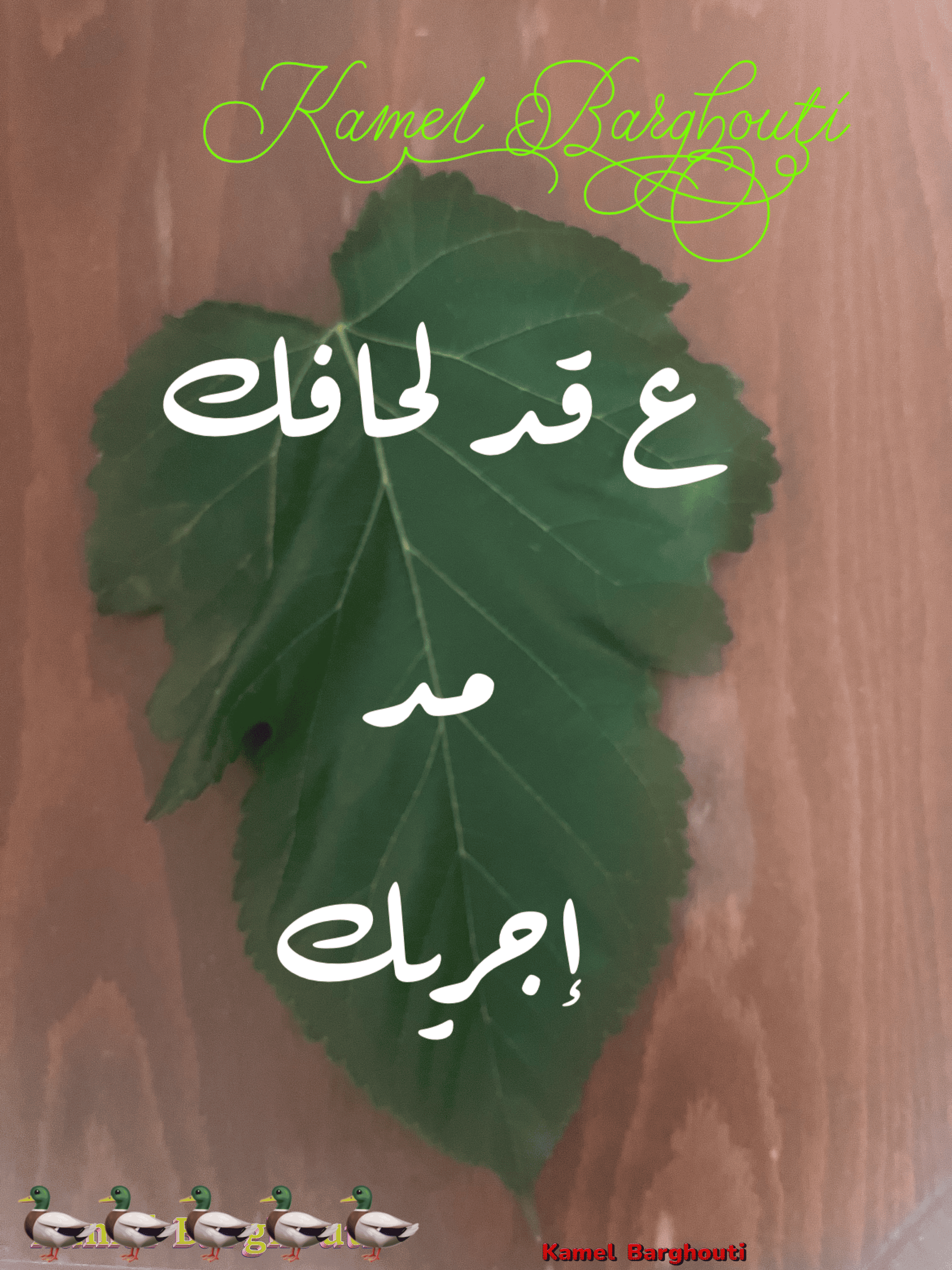 أمثال محلية – اقتباس 61