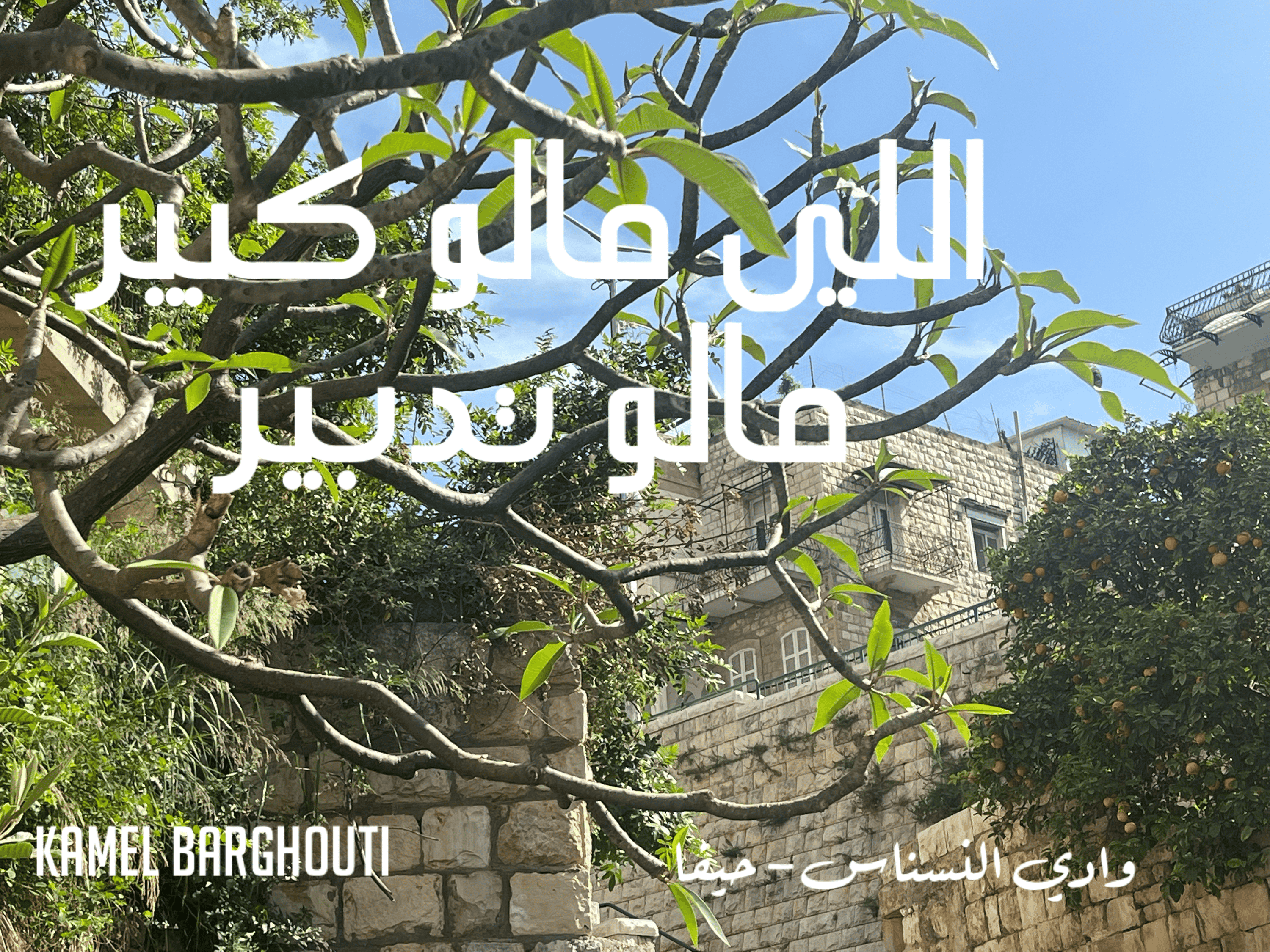 أمثال محلية – اقتباس 34
