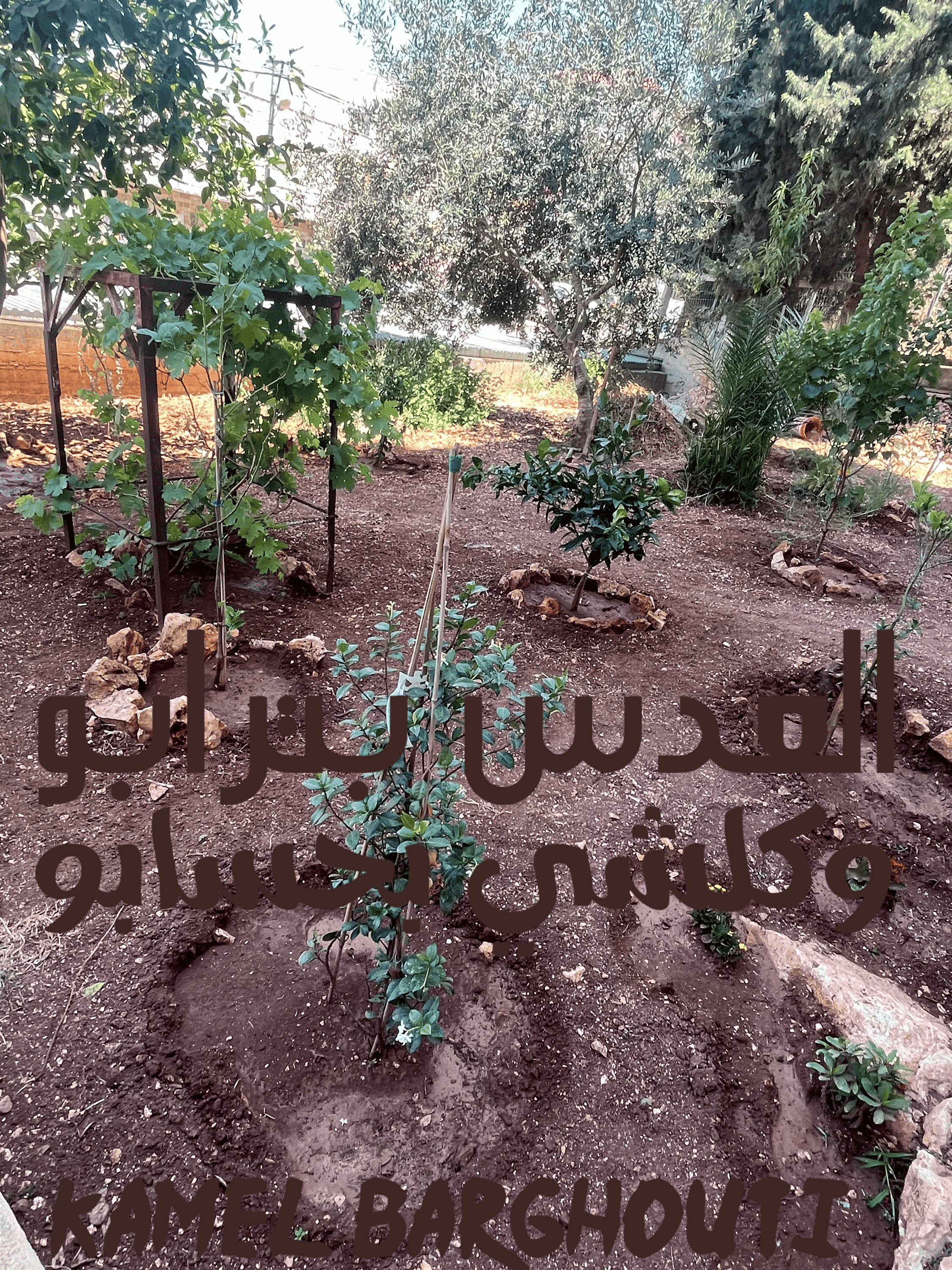 أمثال محلية – اقتباس 24